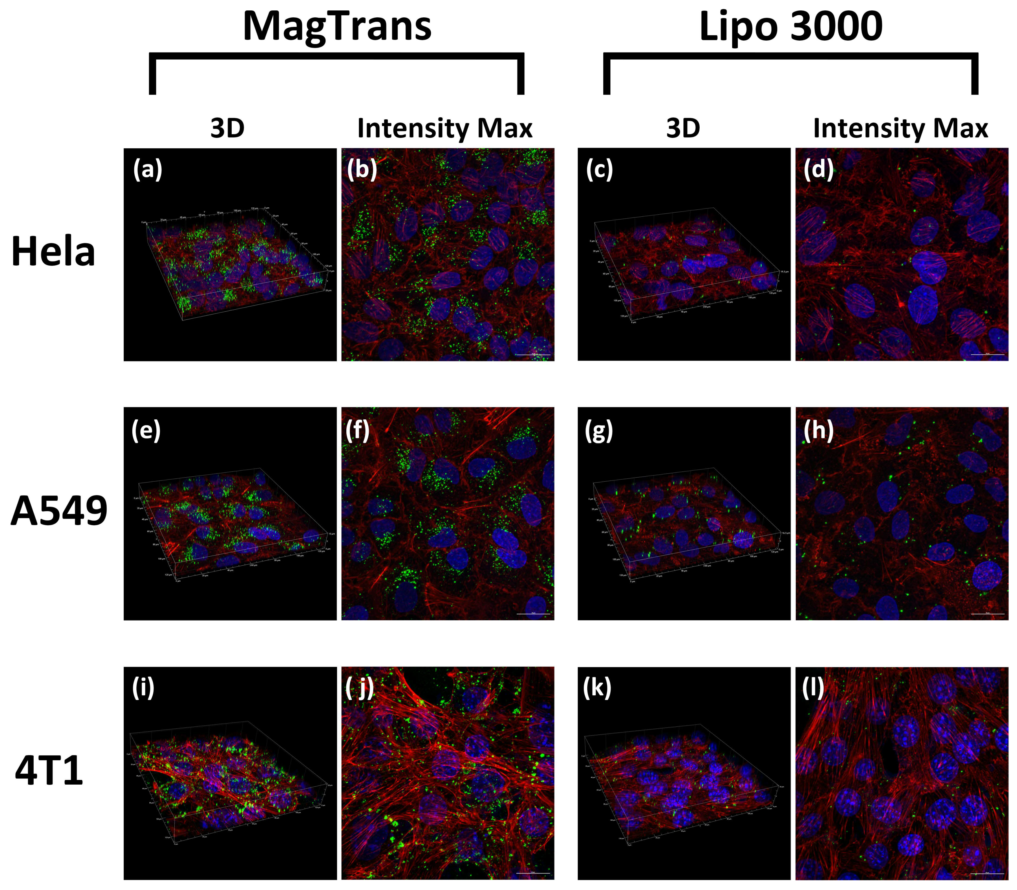 Nanomaterials 12 01692 g006