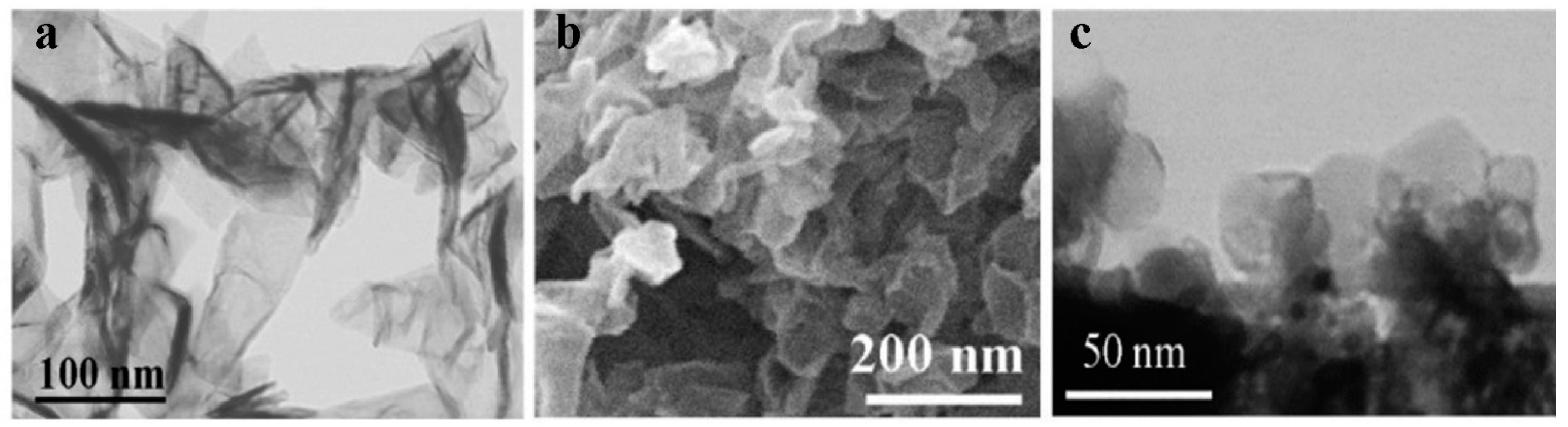 Nanomaterials 12 01703 g001