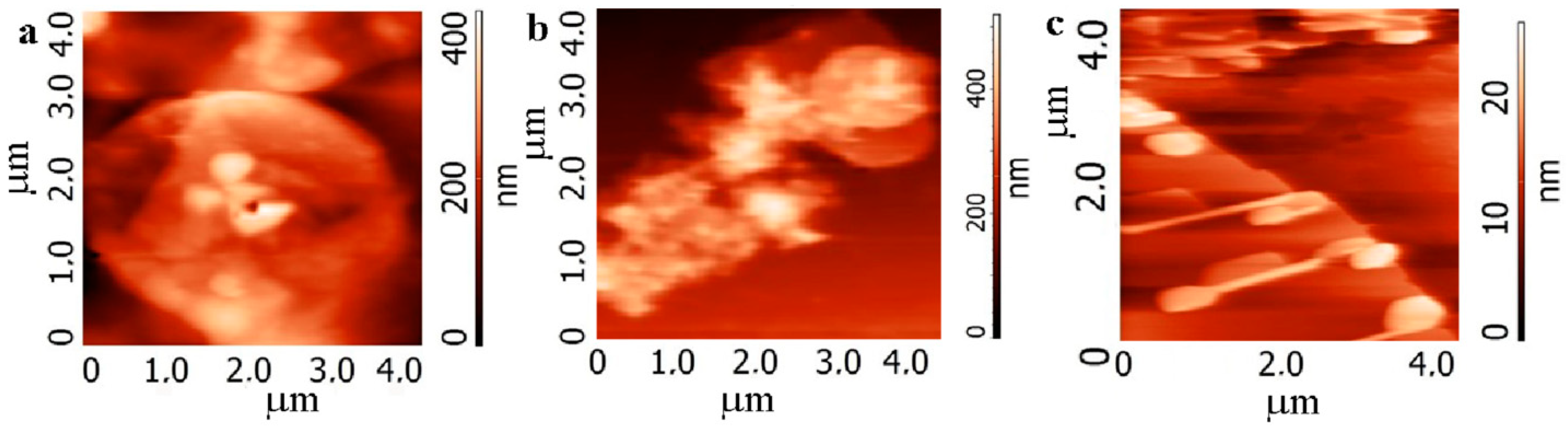 Nanomaterials 12 01703 g004