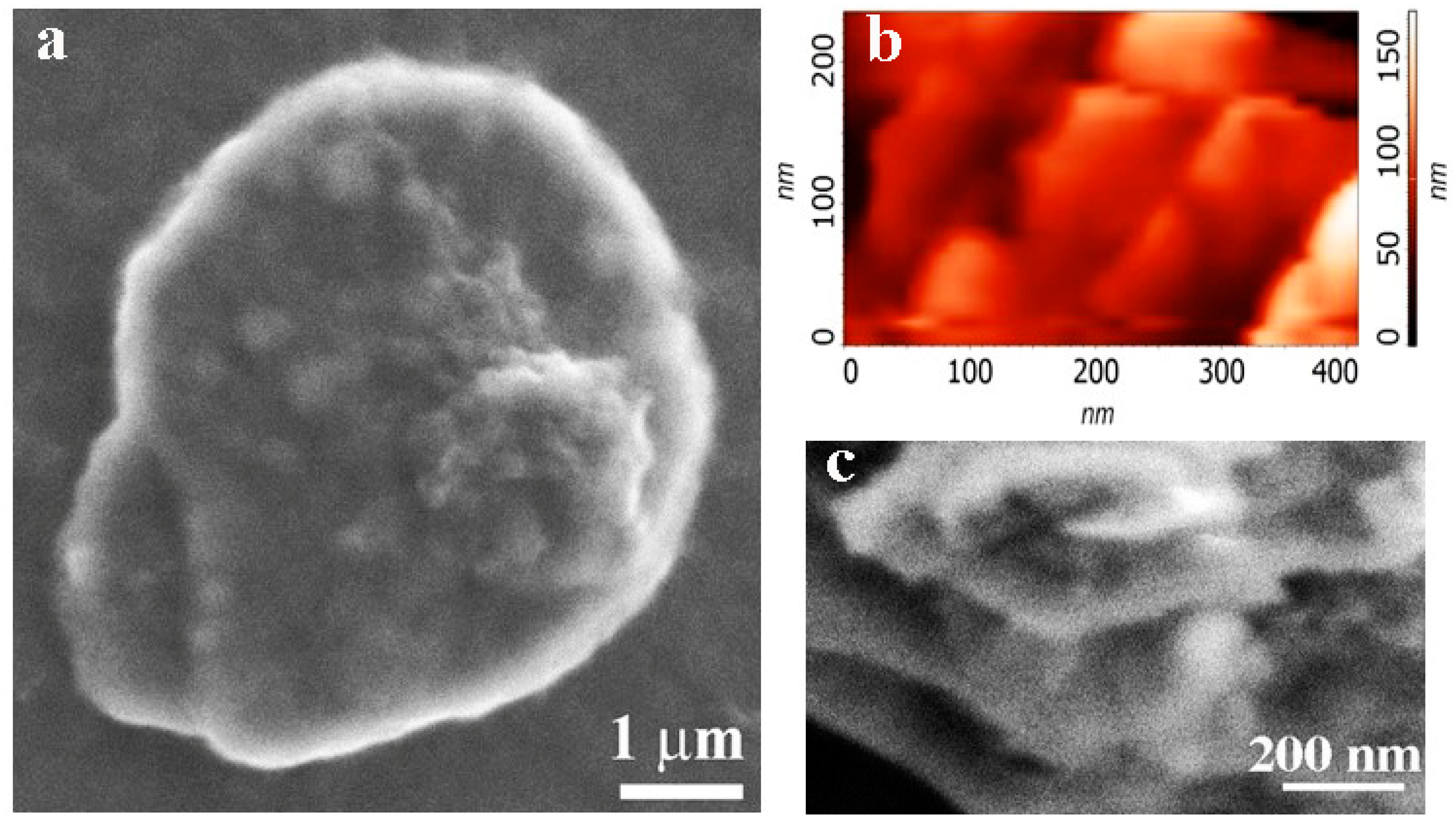 Nanomaterials 12 01703 g005