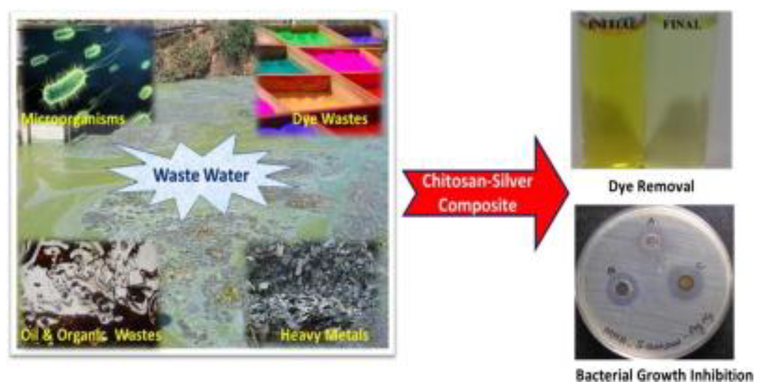 Nanomaterials 12 01707 g002