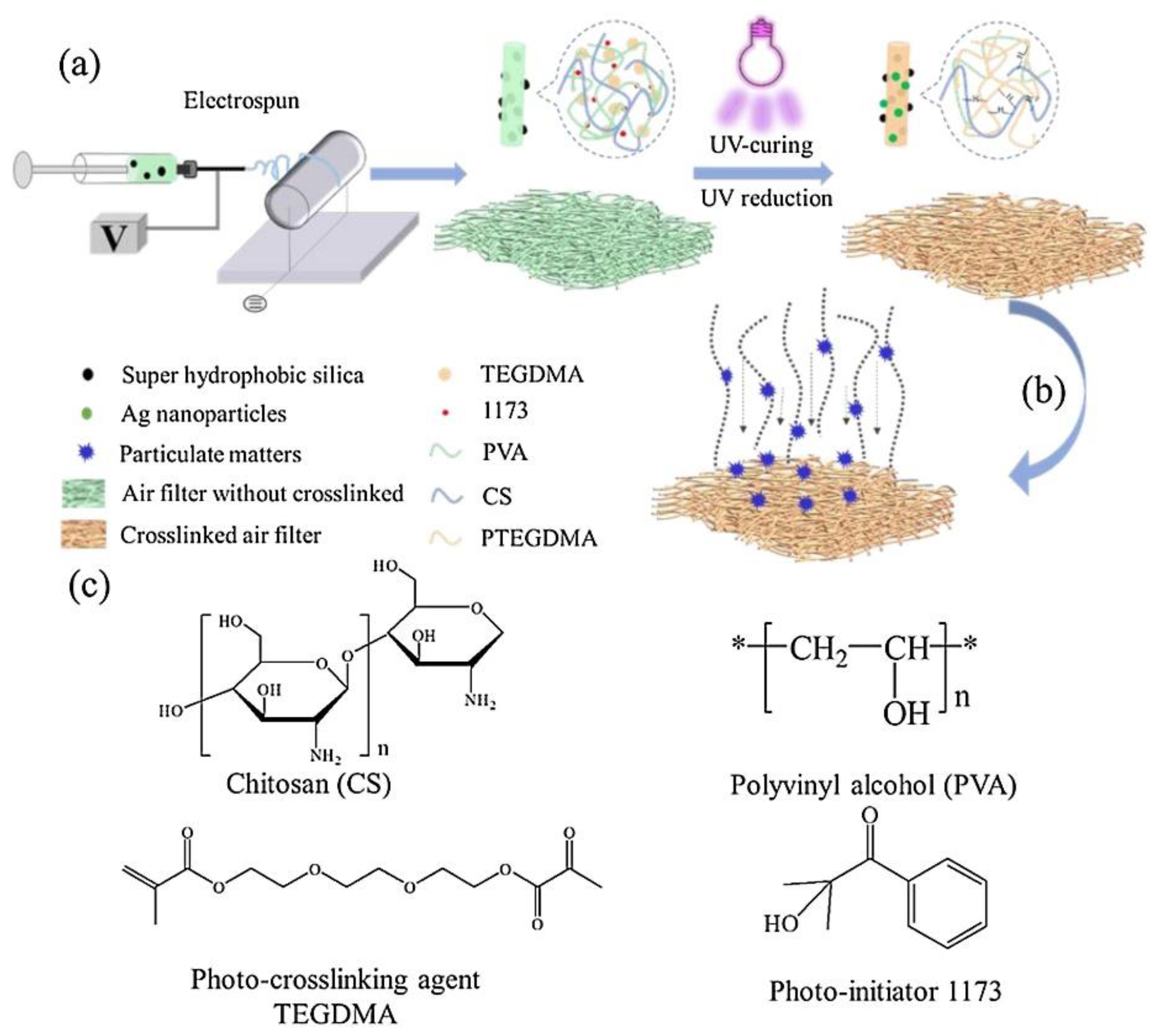 Nanomaterials 12 01707 g006