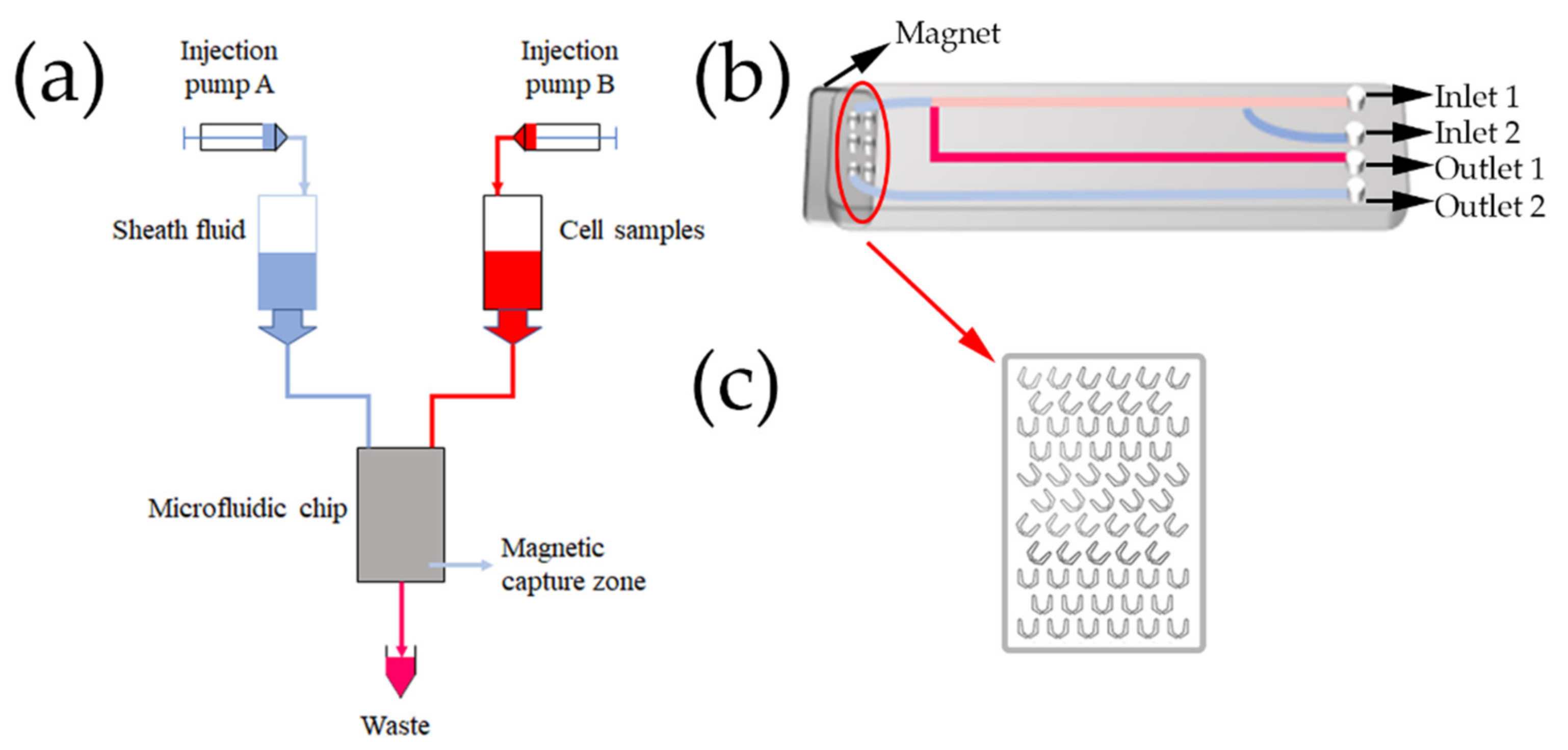 Nanomaterials 12 01711 g001