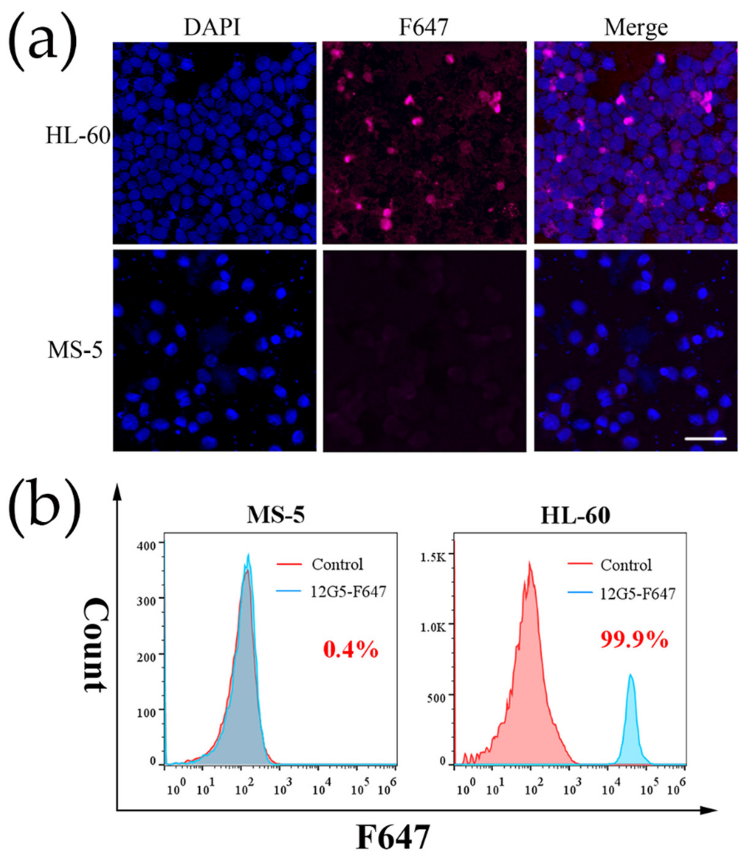 Nanomaterials 12 01711 g004