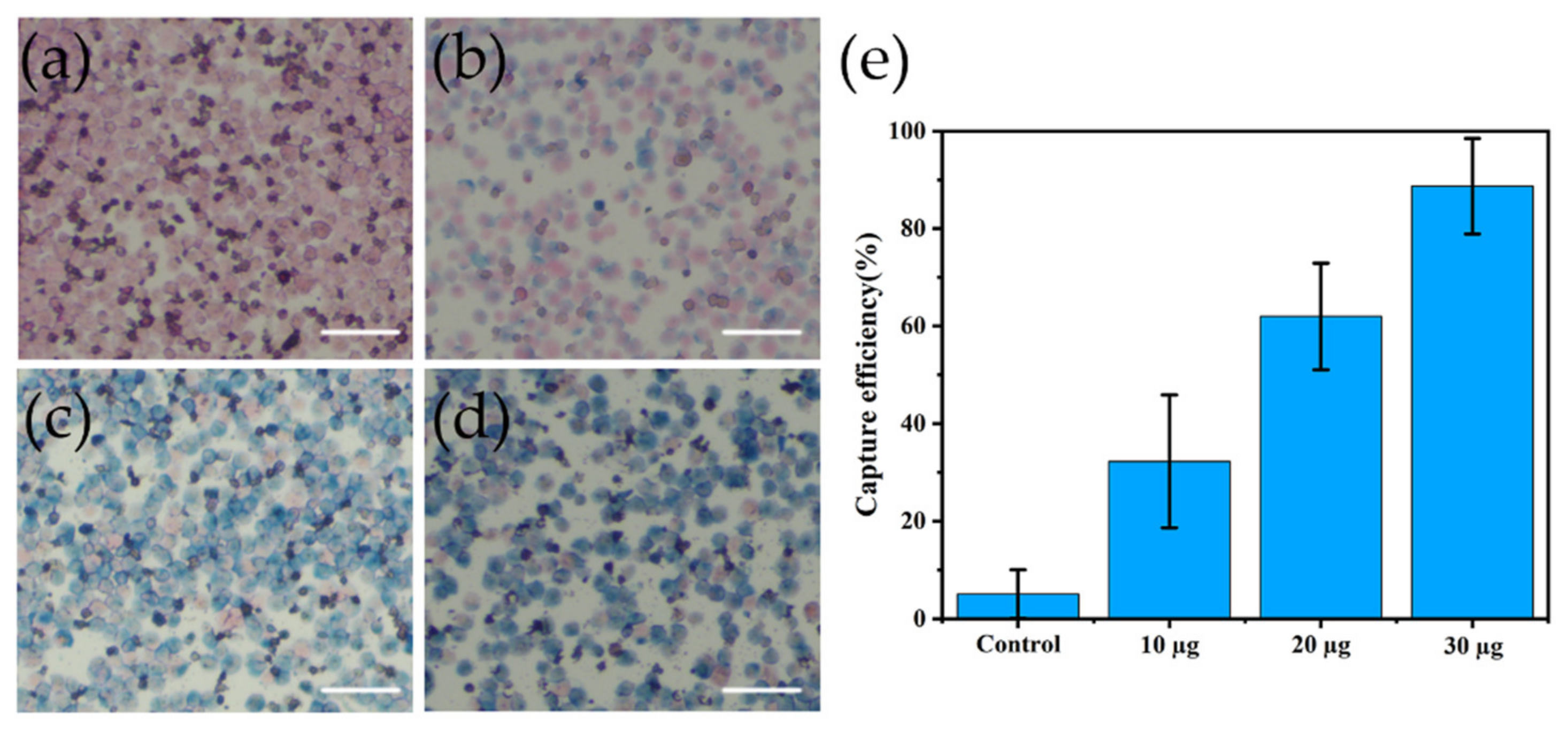 Nanomaterials 12 01711 g007