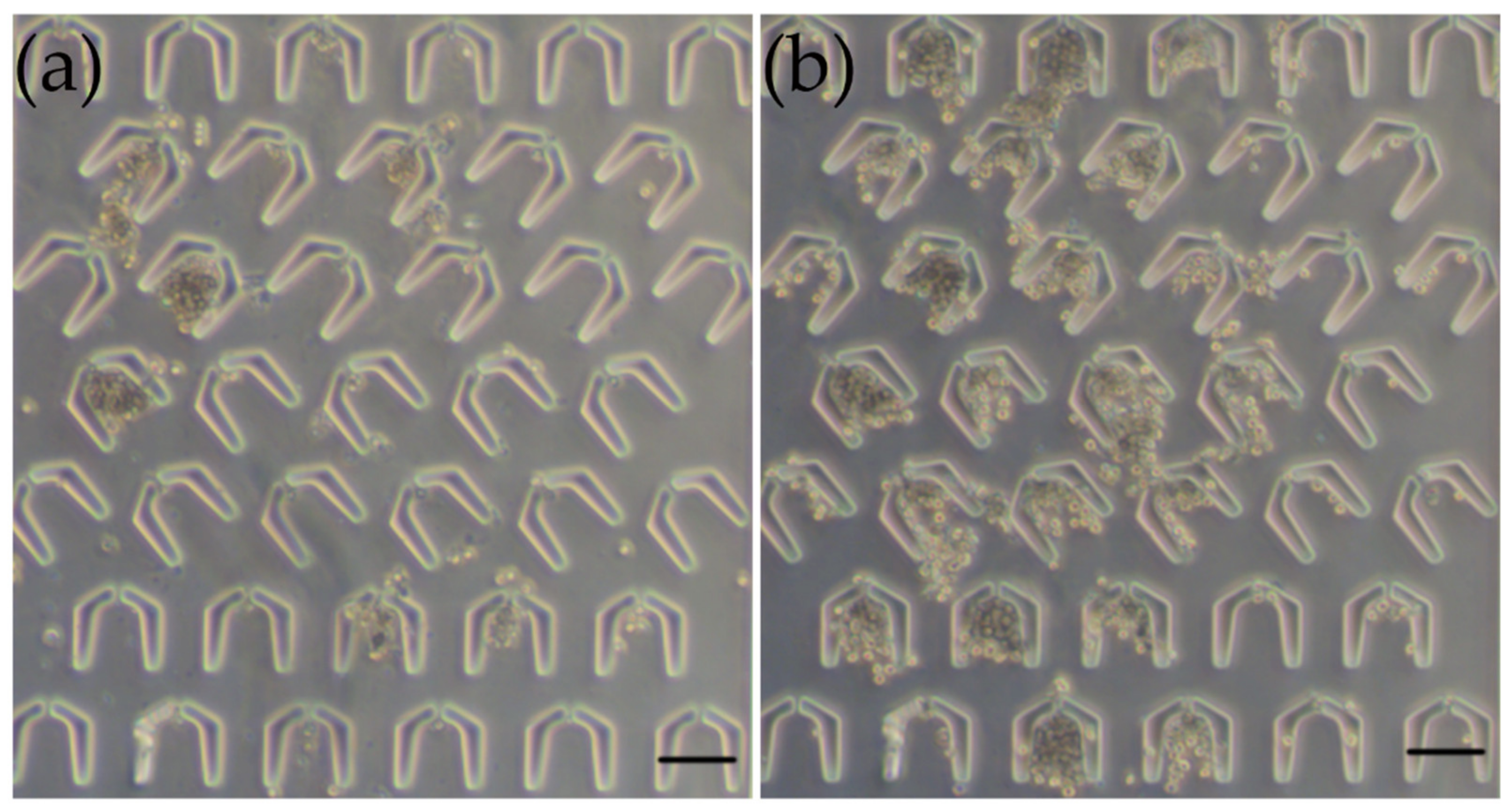 Nanomaterials 12 01711 g008