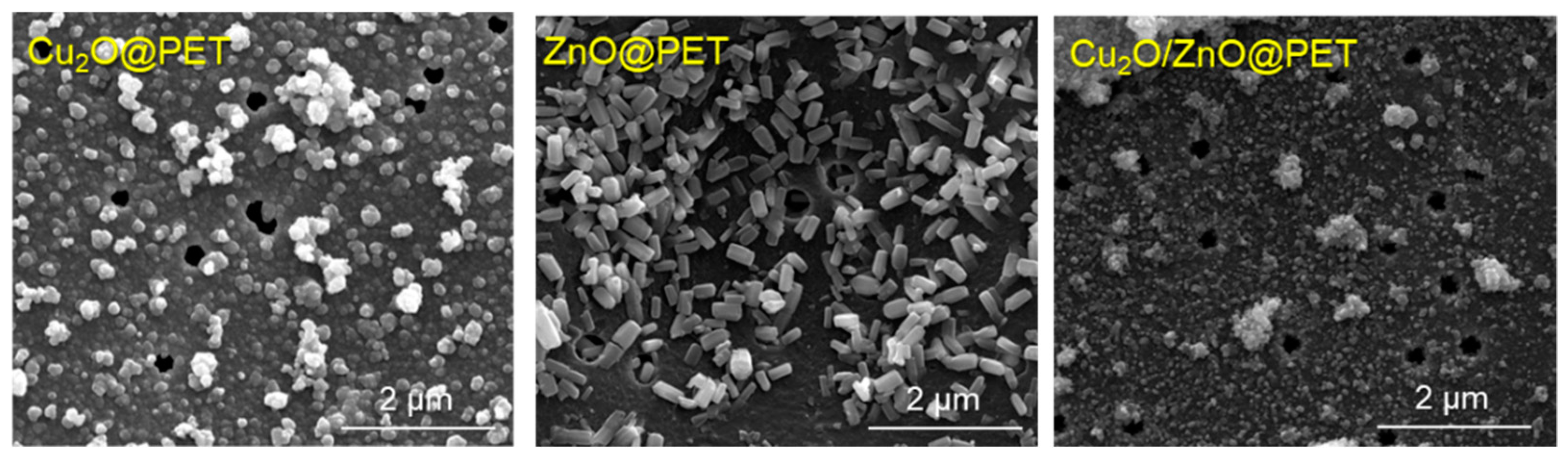 Nanomaterials 12 01724 g001