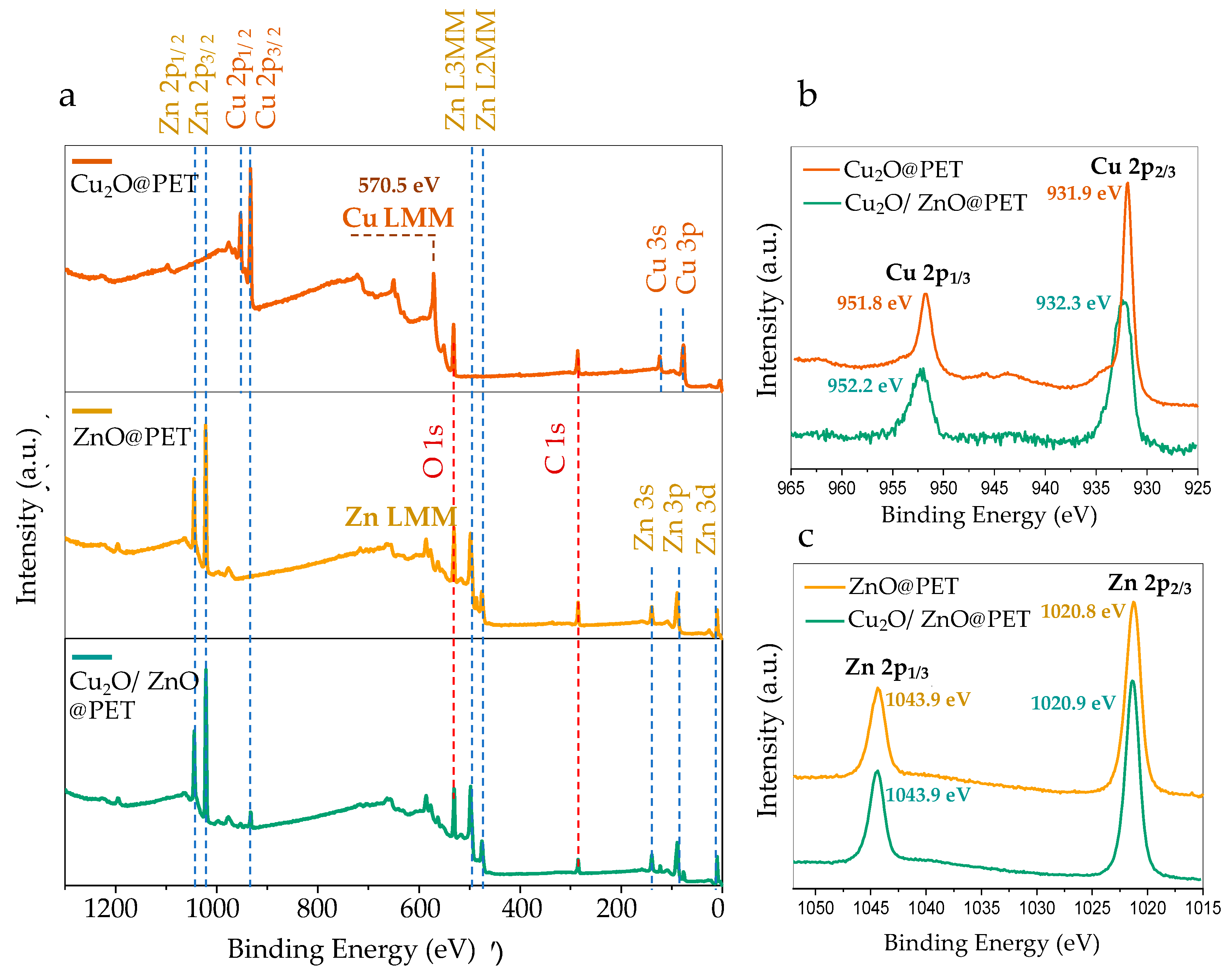Nanomaterials 12 01724 g005