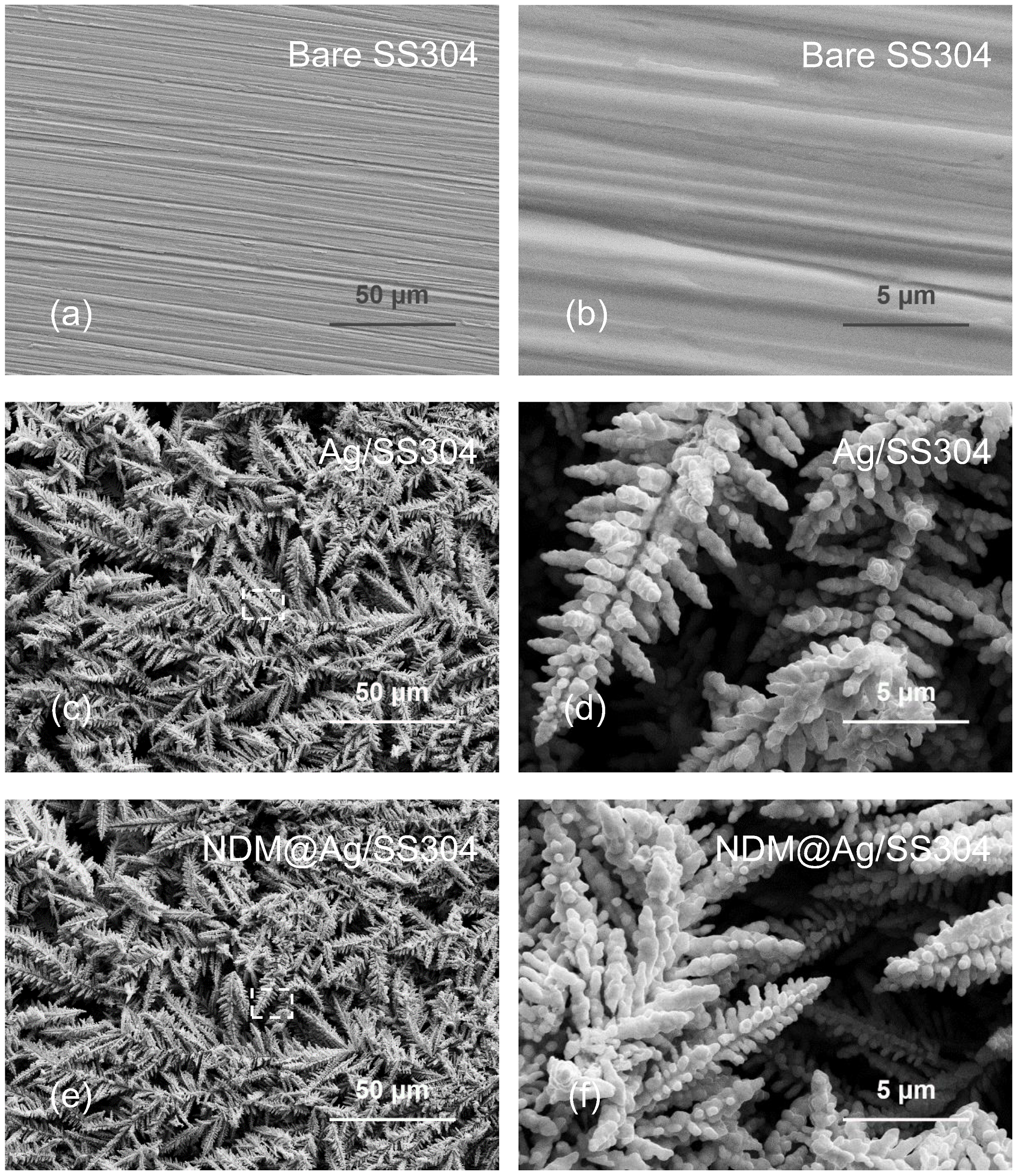 Nanomaterials 12 01726 g001