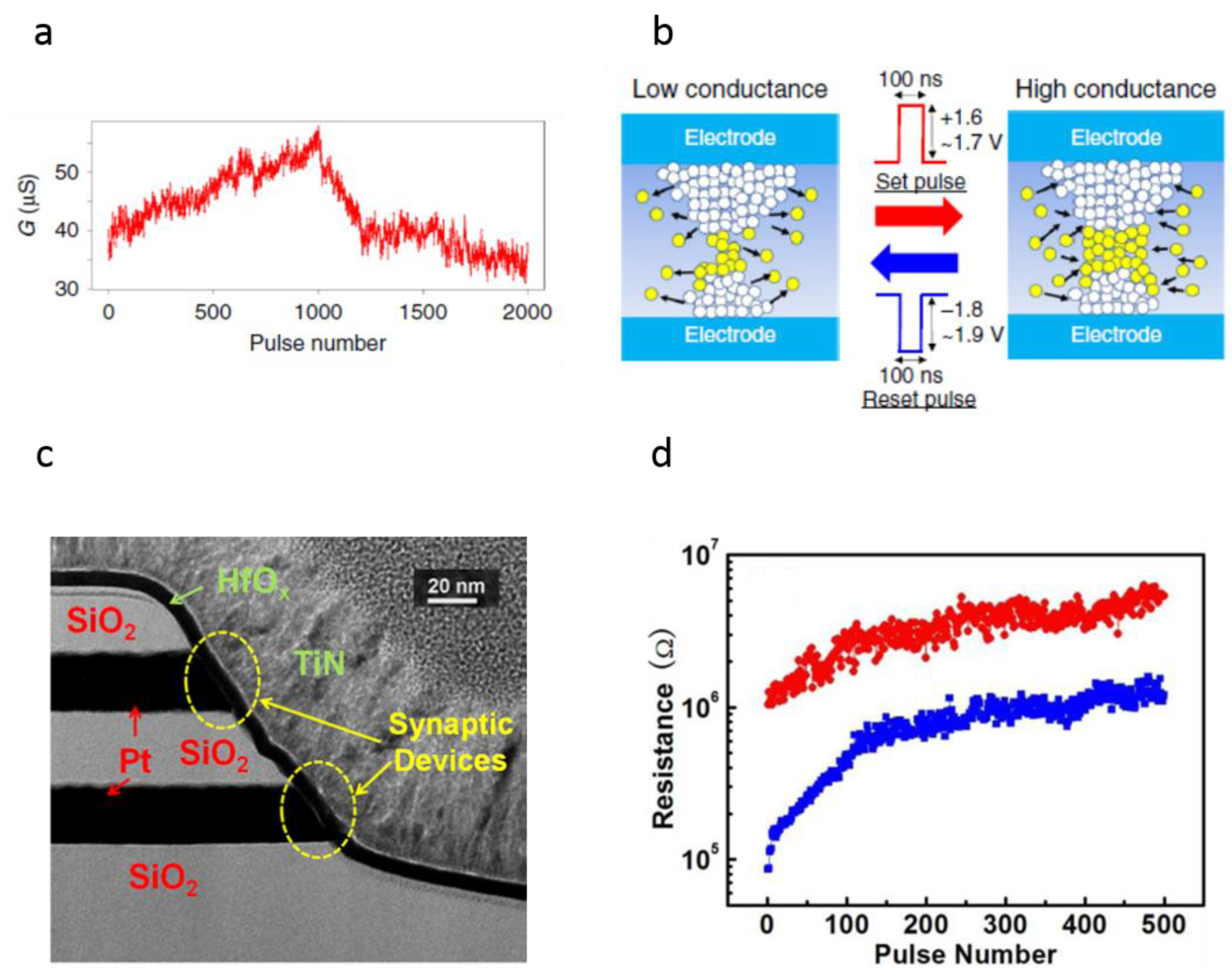 Nanomaterials 12 01728 g006 Nanomaterials 12 01728 g006