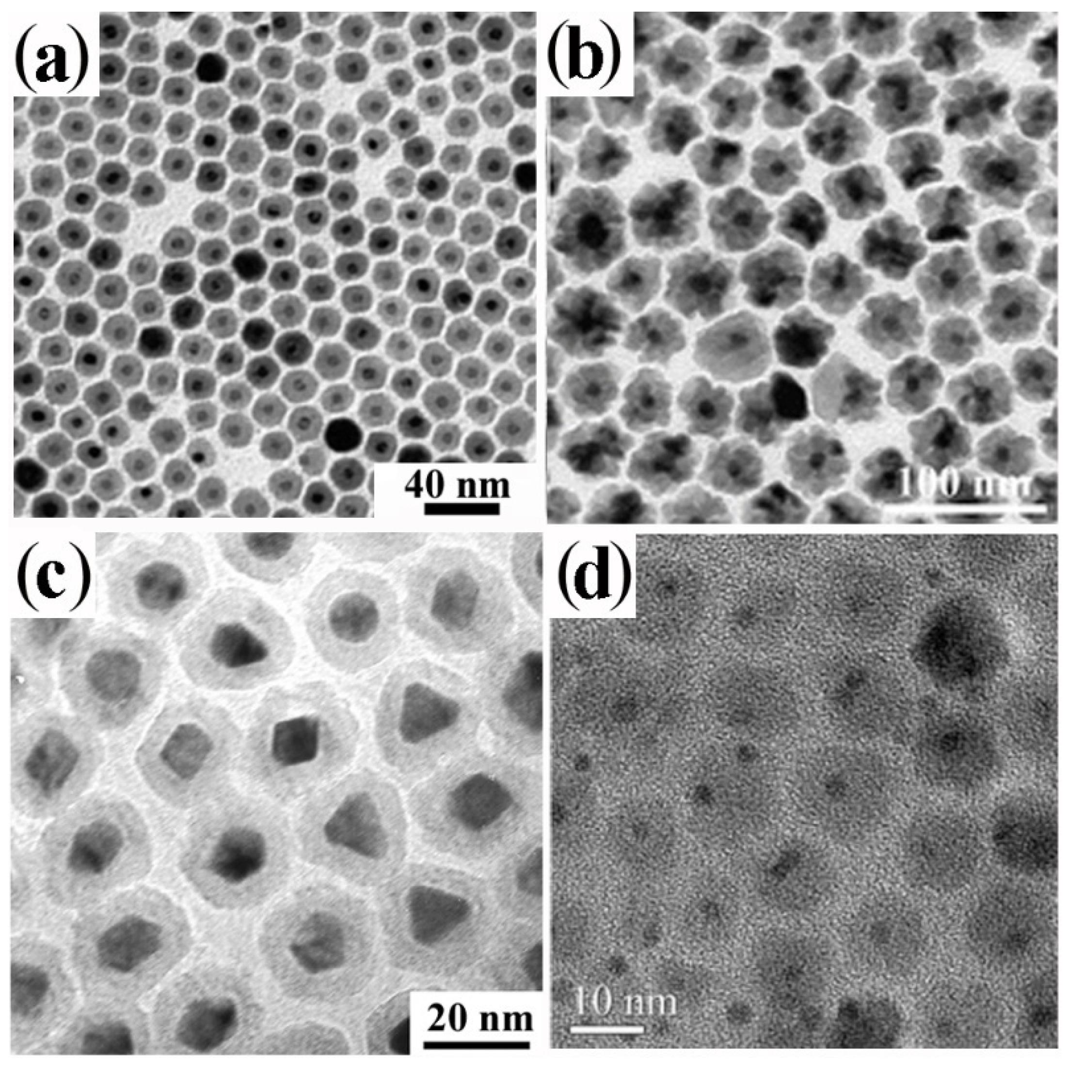 Nanomaterials 12 01729 g002