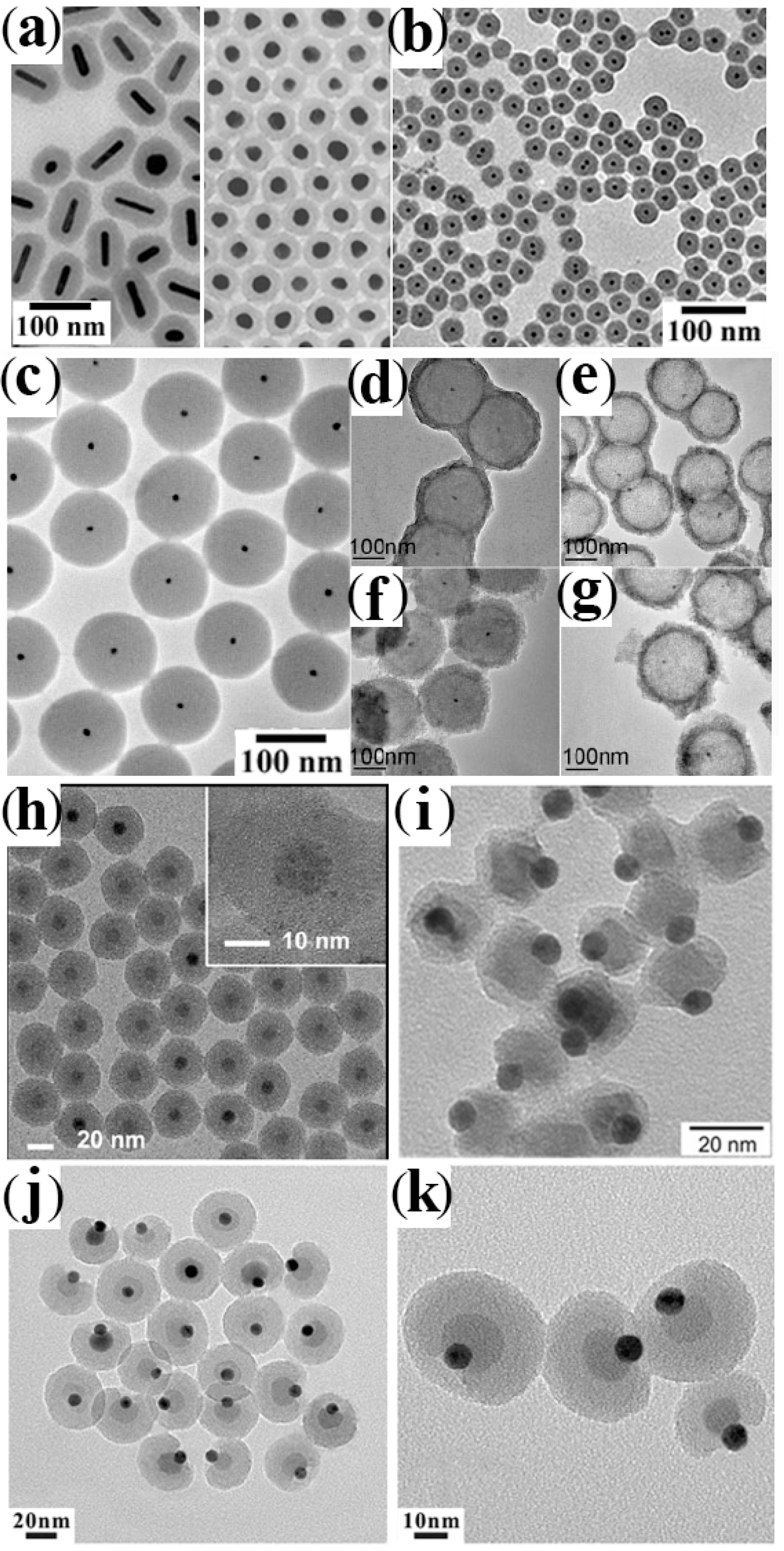 Nanomaterials 12 01729 g003