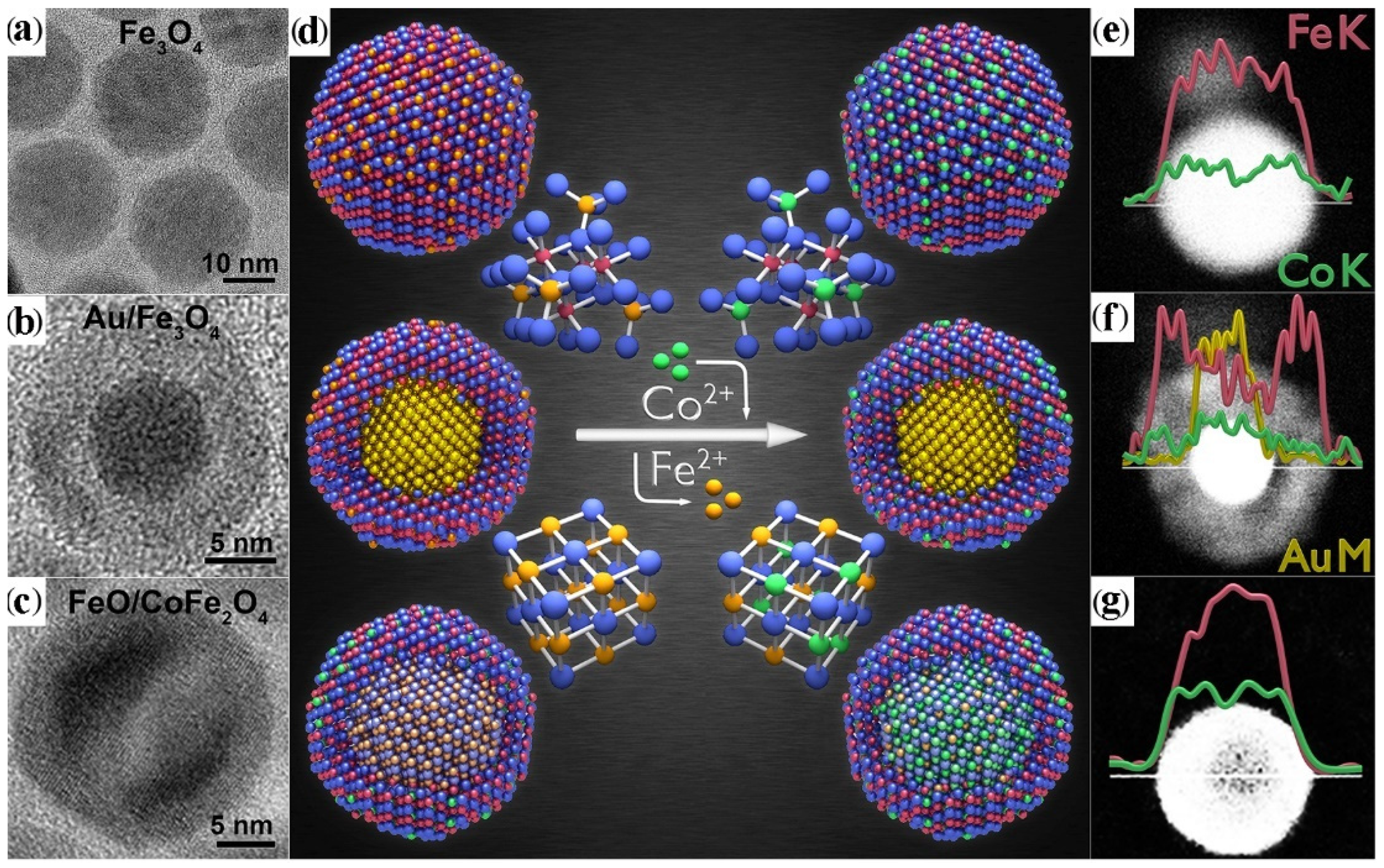 Nanomaterials 12 01729 g005