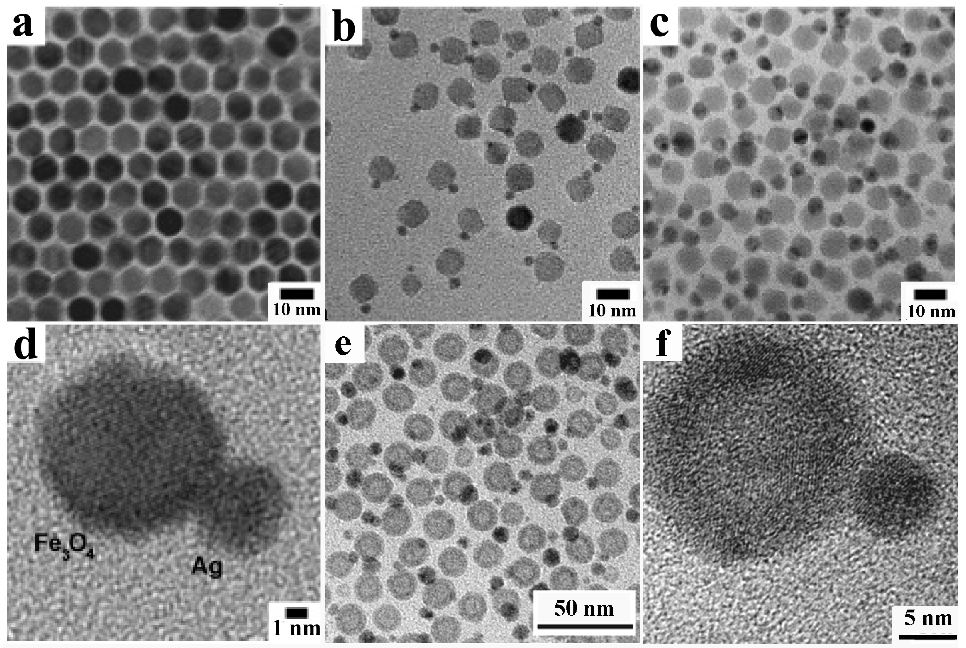 Nanomaterials 12 01729 g008