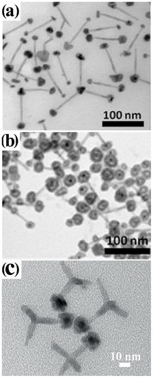 Nanomaterials 12 01729 g011