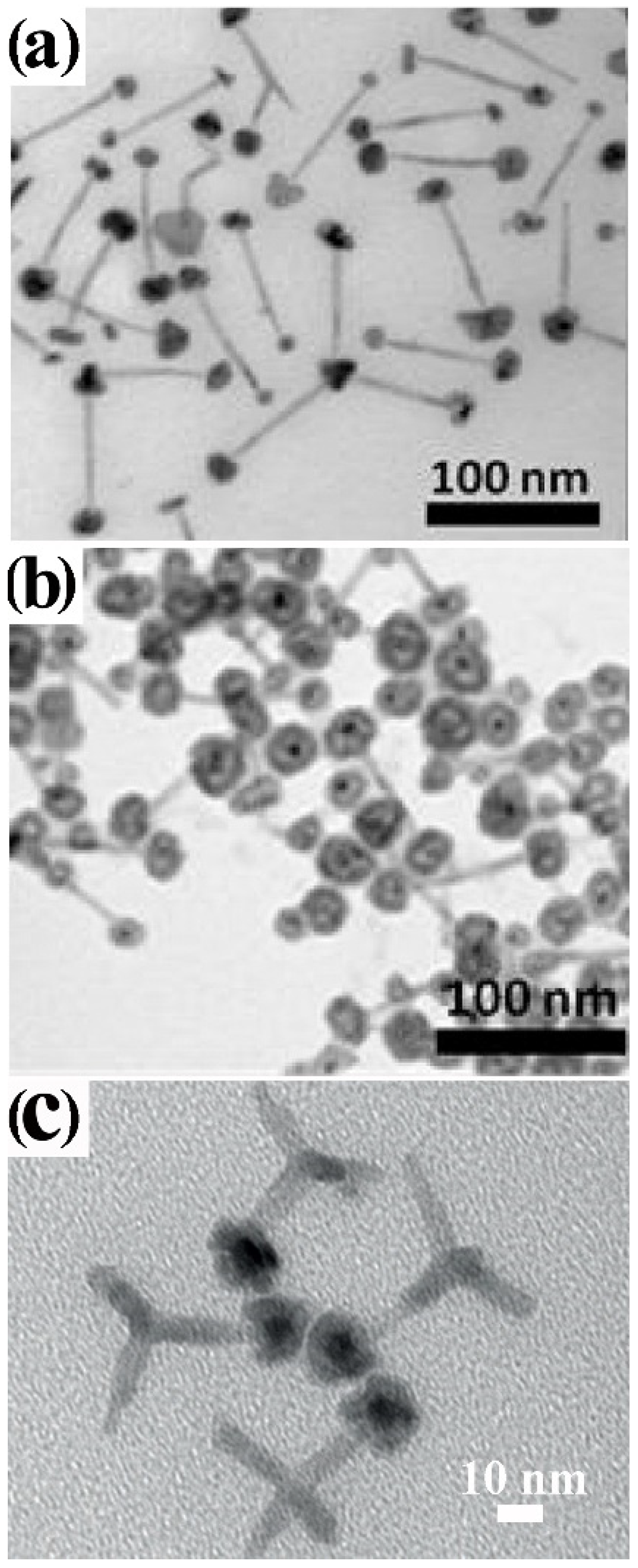 Nanomaterials 12 01729 g011