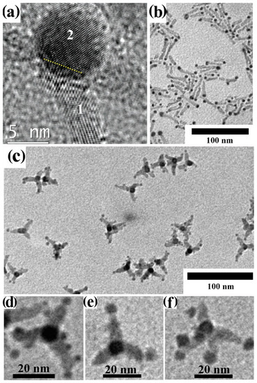 Nanomaterials 12 01729 g012