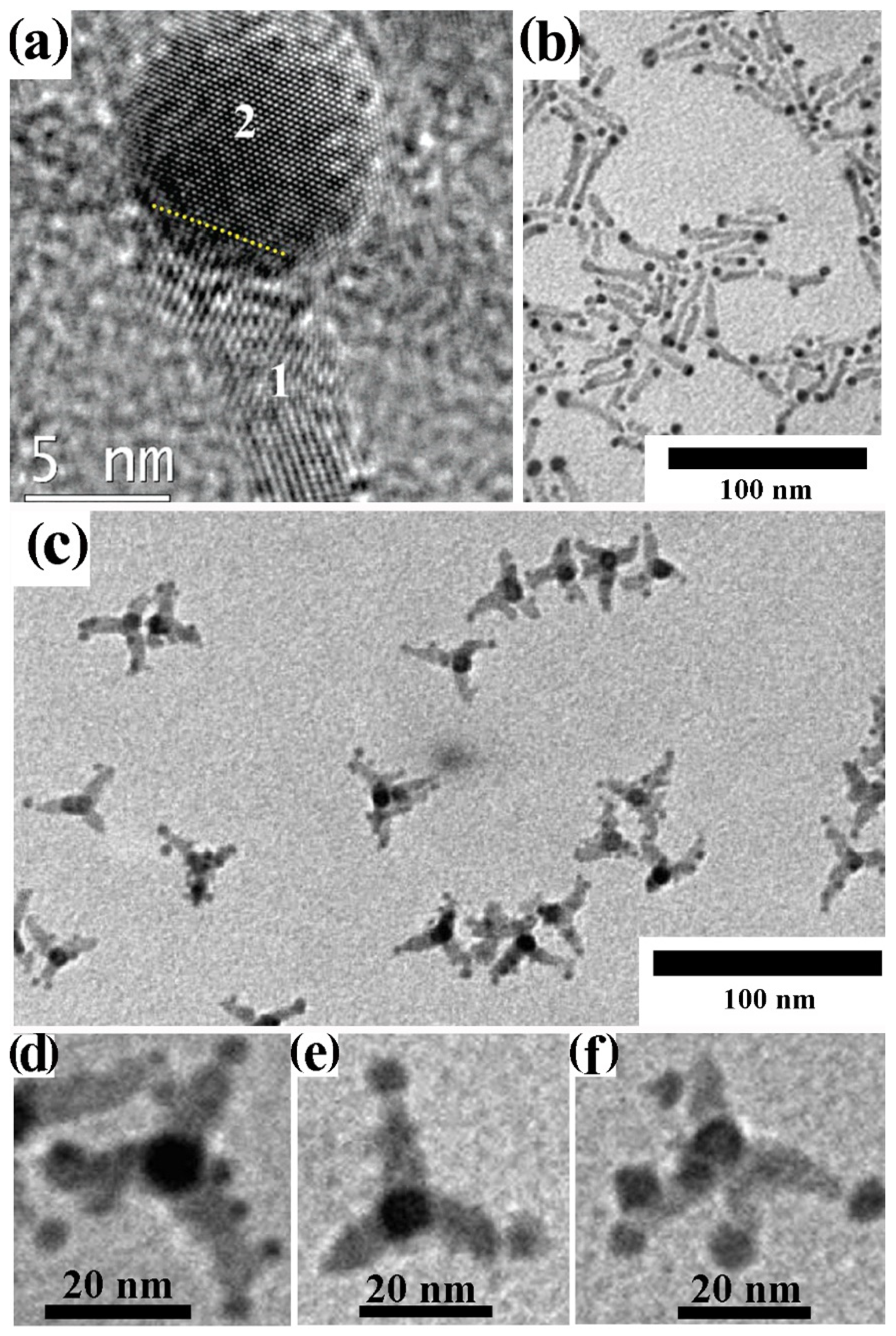 Nanomaterials 12 01729 g012