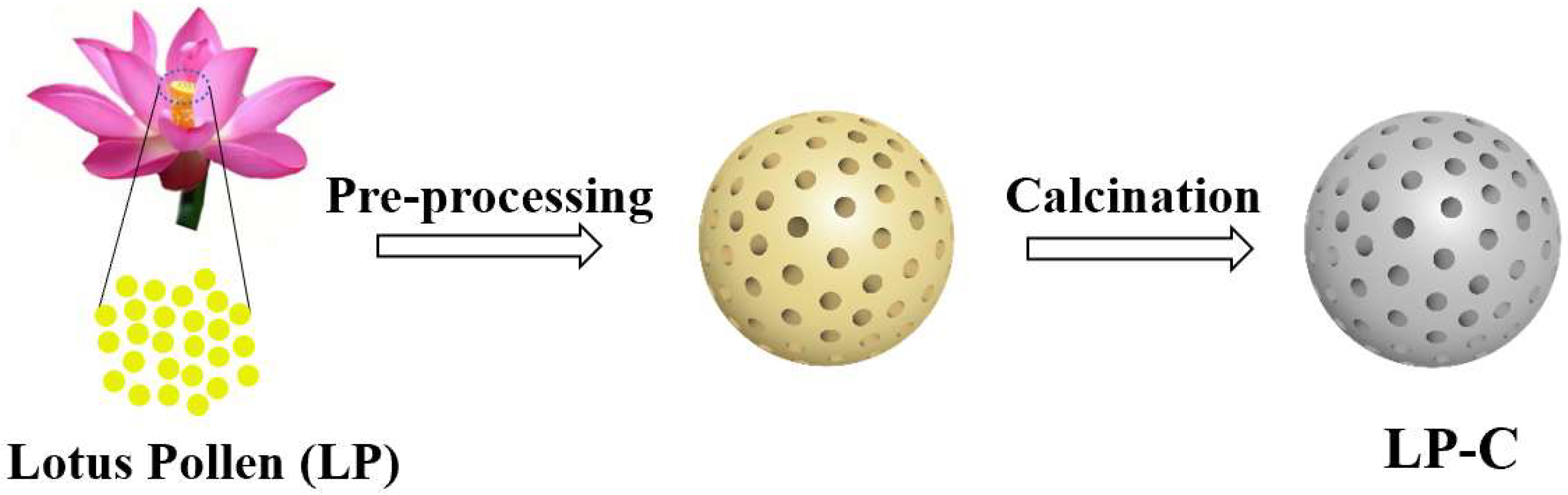 Nanomaterials 12 01744 g001 Nanomaterials 12 01744 g001