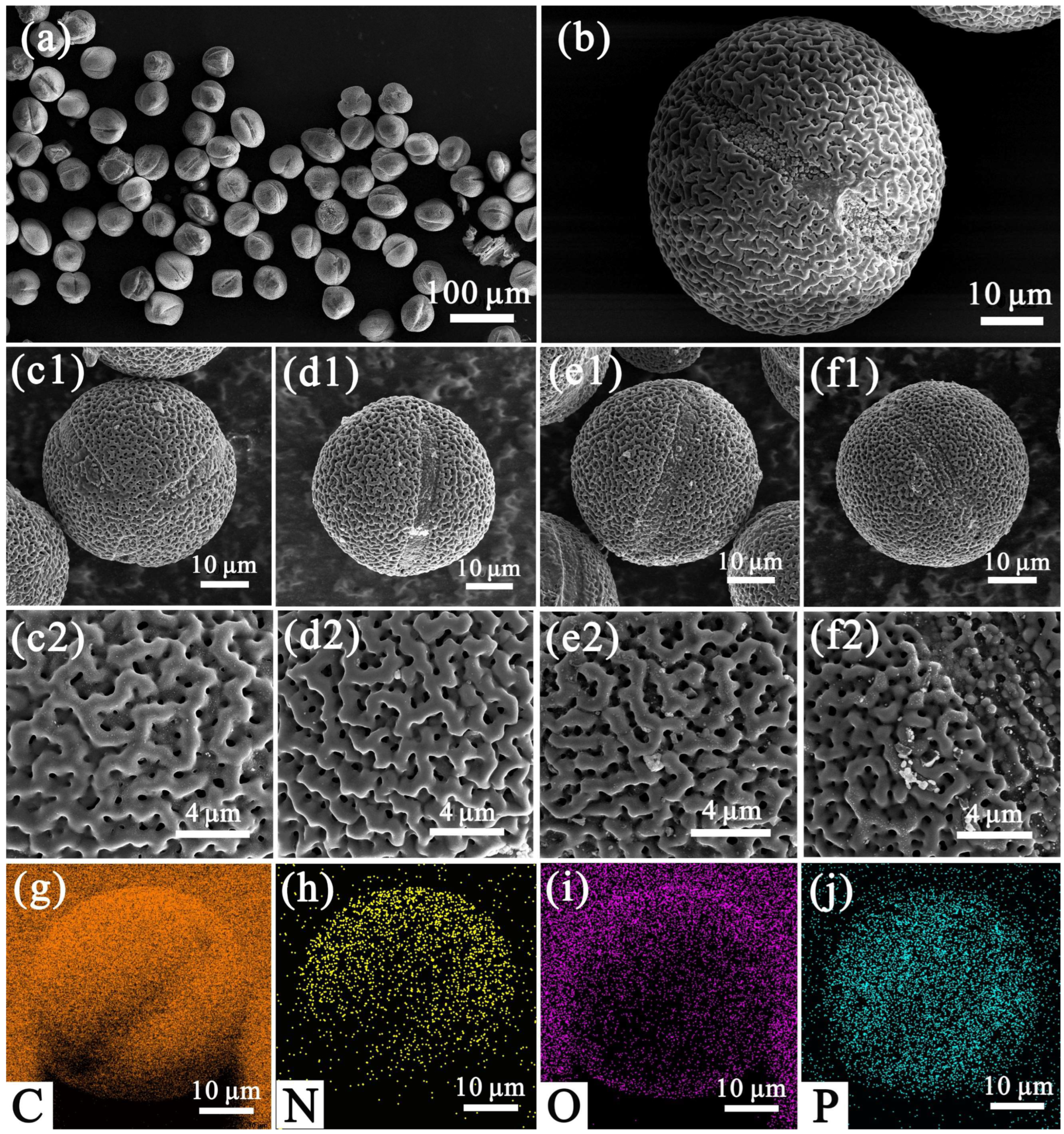 Nanomaterials 12 01744 g002 Nanomaterials 12 01744 g002
