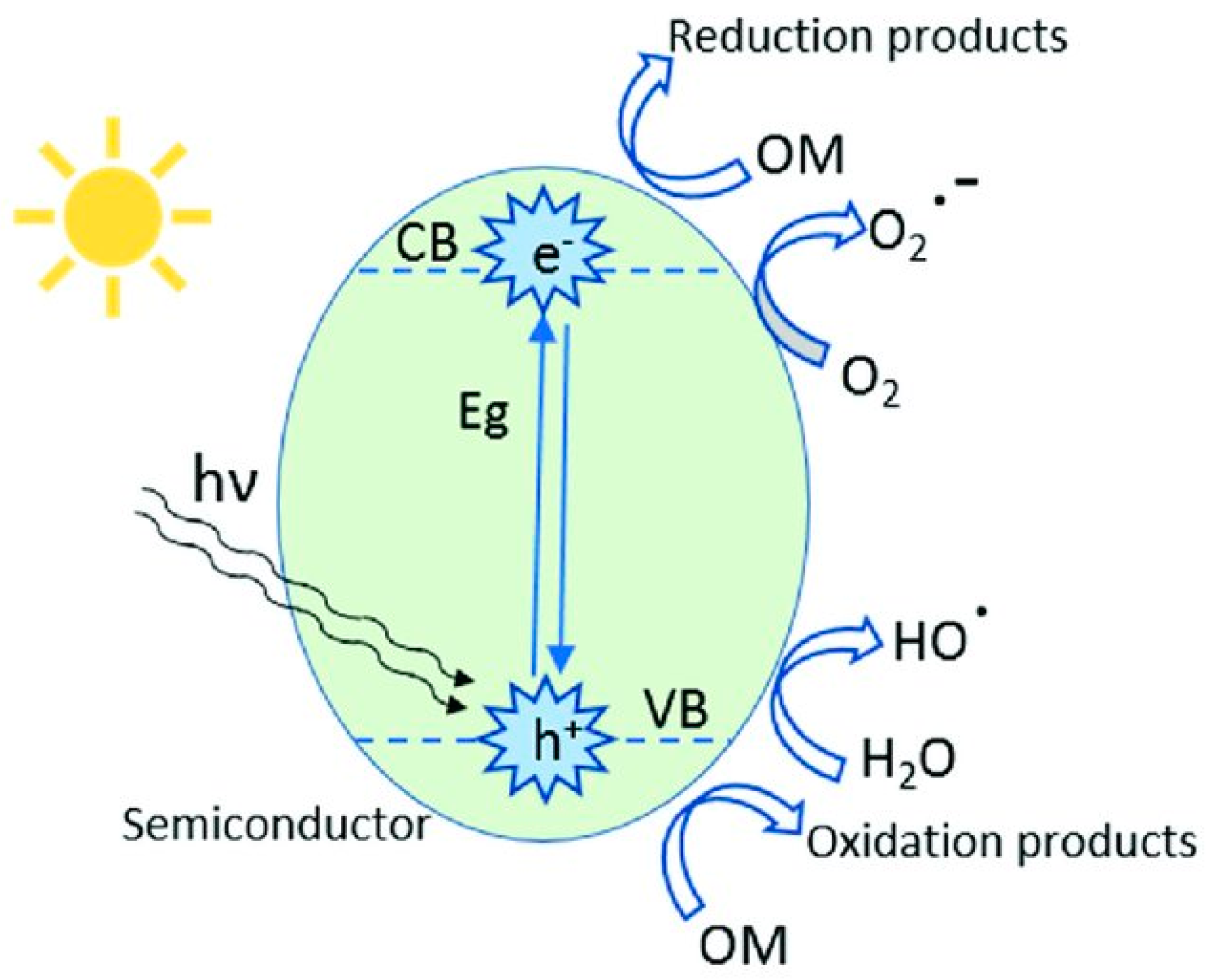 Nanomaterials 12 01754 g002