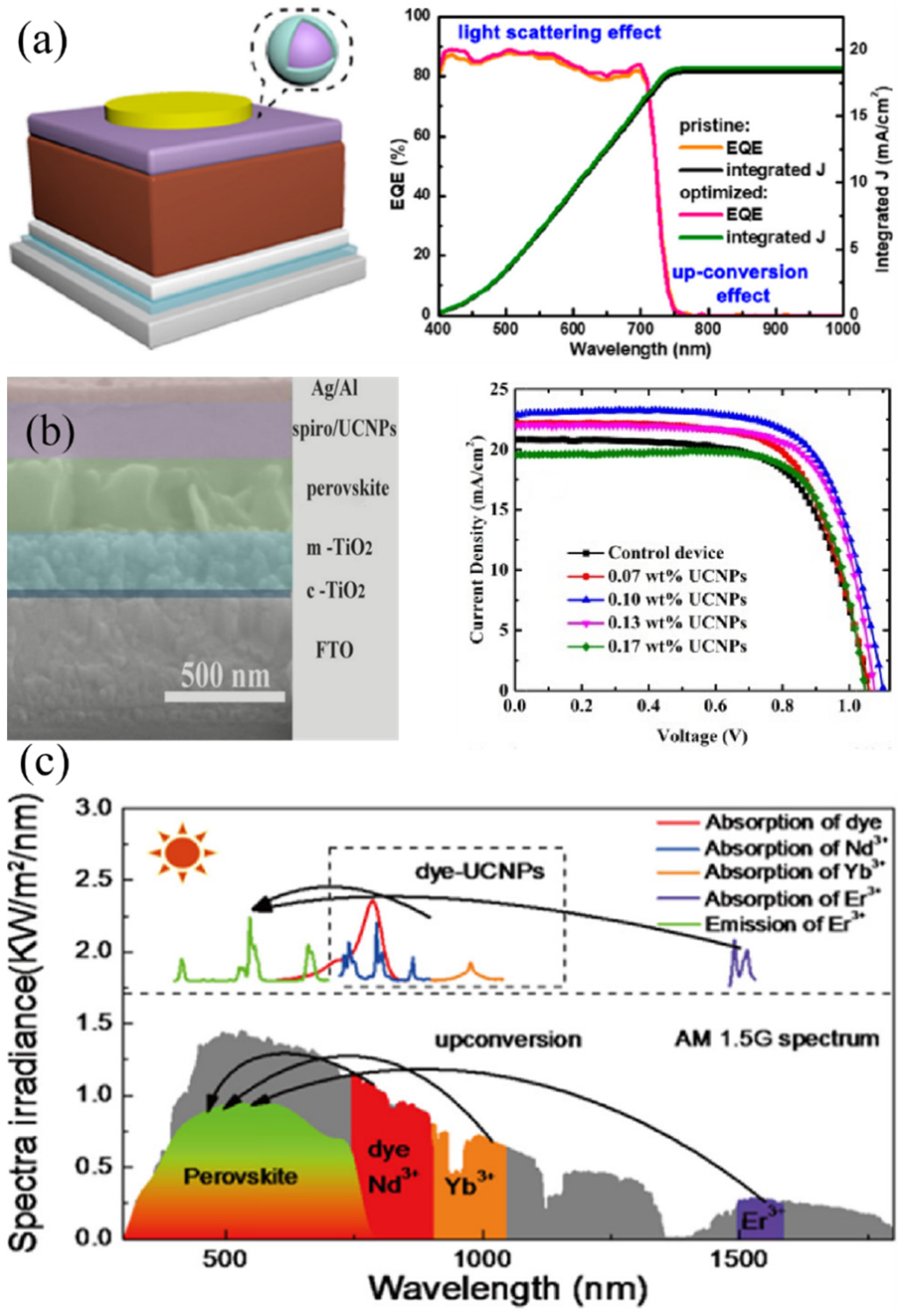 Nanomaterials 12 01773 g003