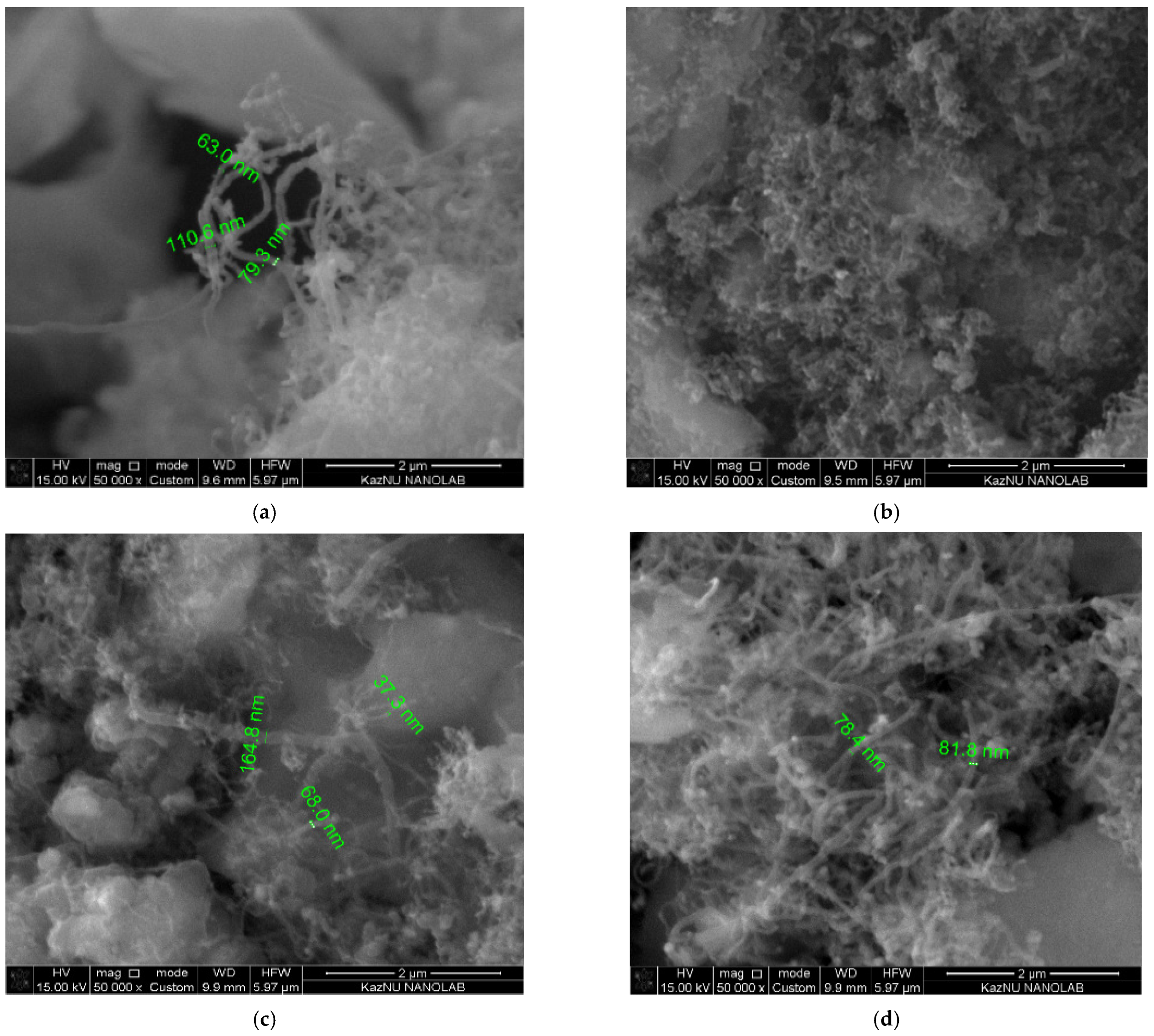 Nanomaterials 12 01817 g010