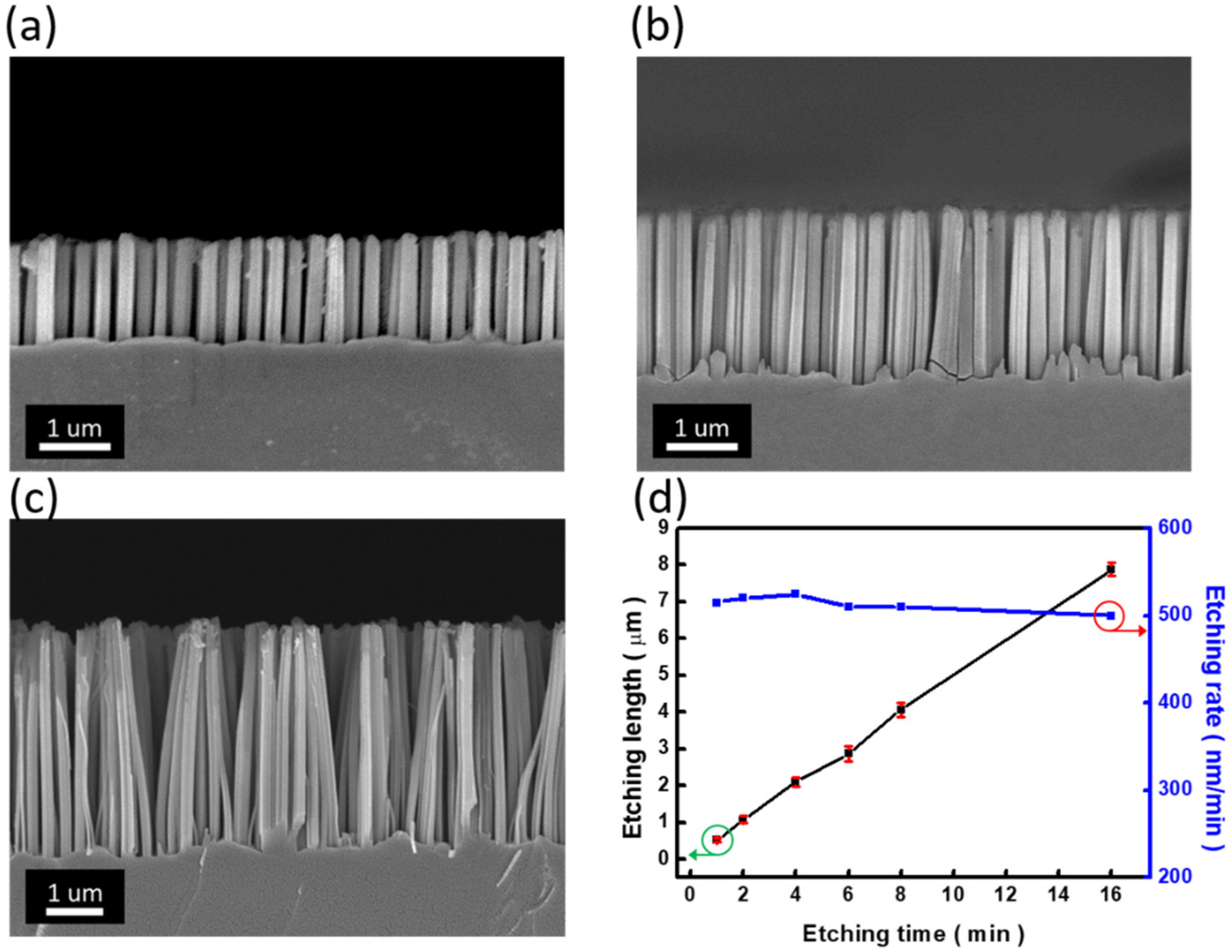 Nanomaterials 12 01821 g003