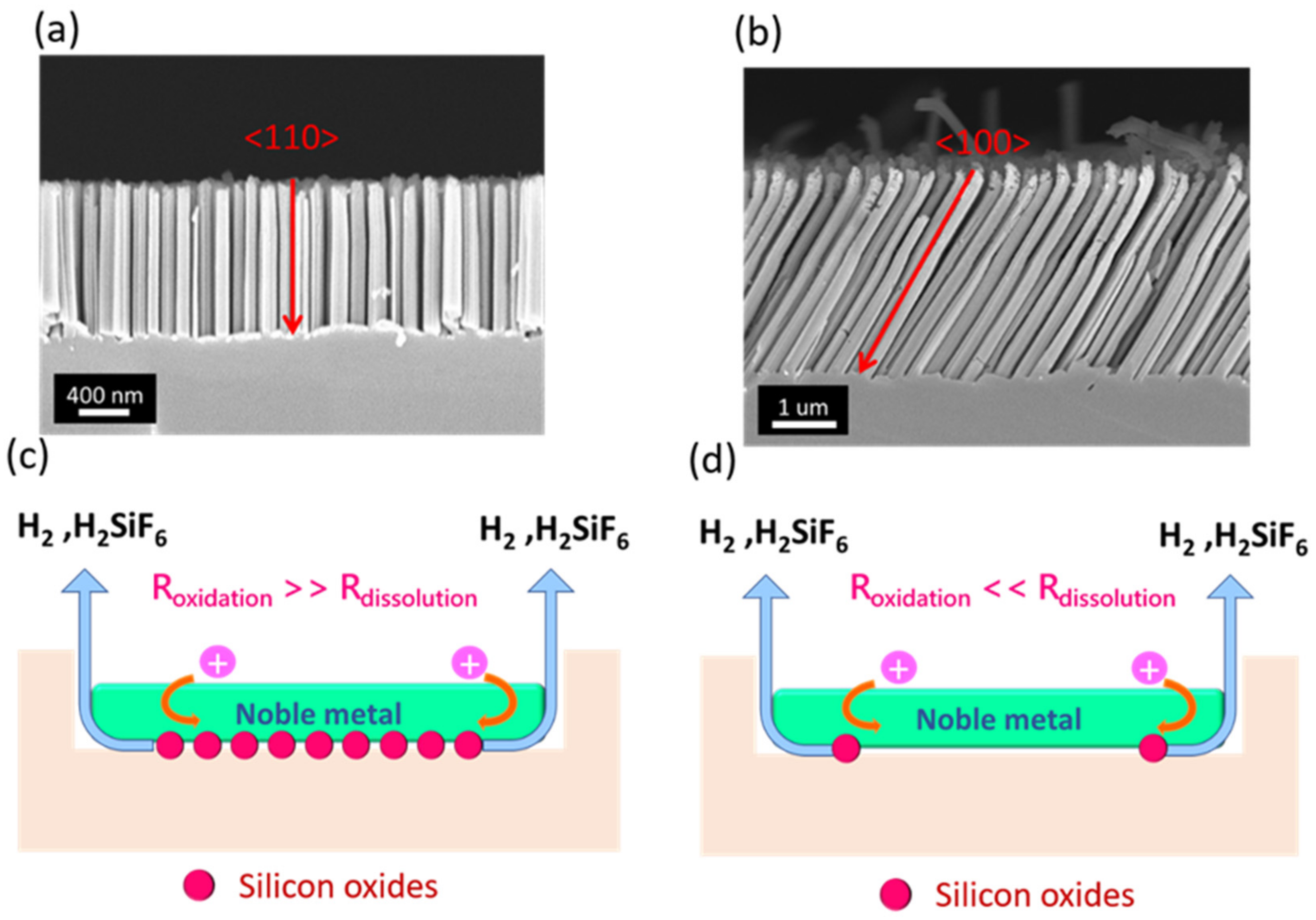 Nanomaterials 12 01821 g005