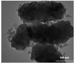 Nanomaterials 12 01823 i001
