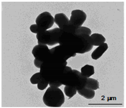 Nanomaterials 12 01823 i002