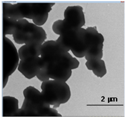 Nanomaterials 12 01823 i003