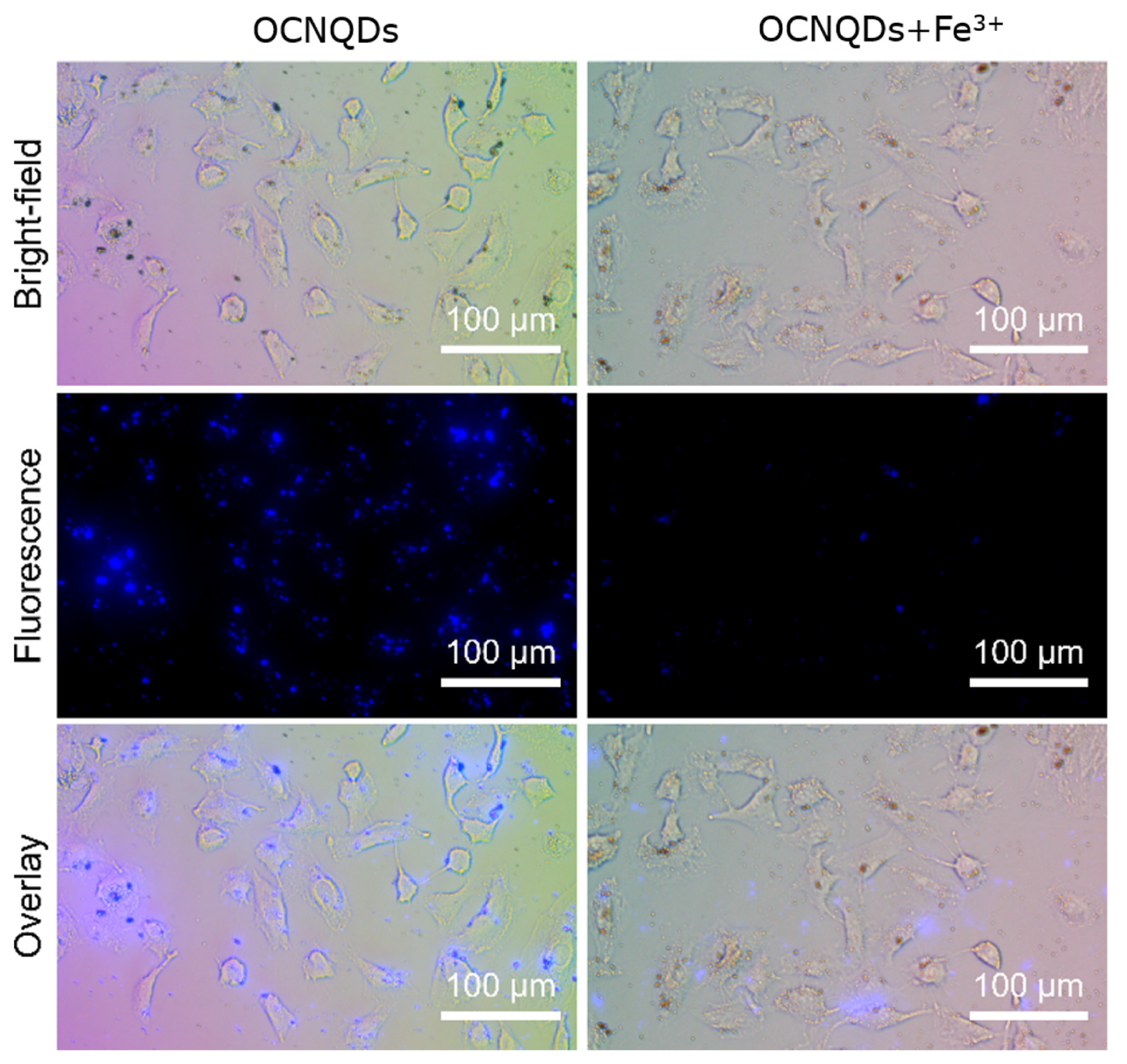 Nanomaterials 12 01826 g010