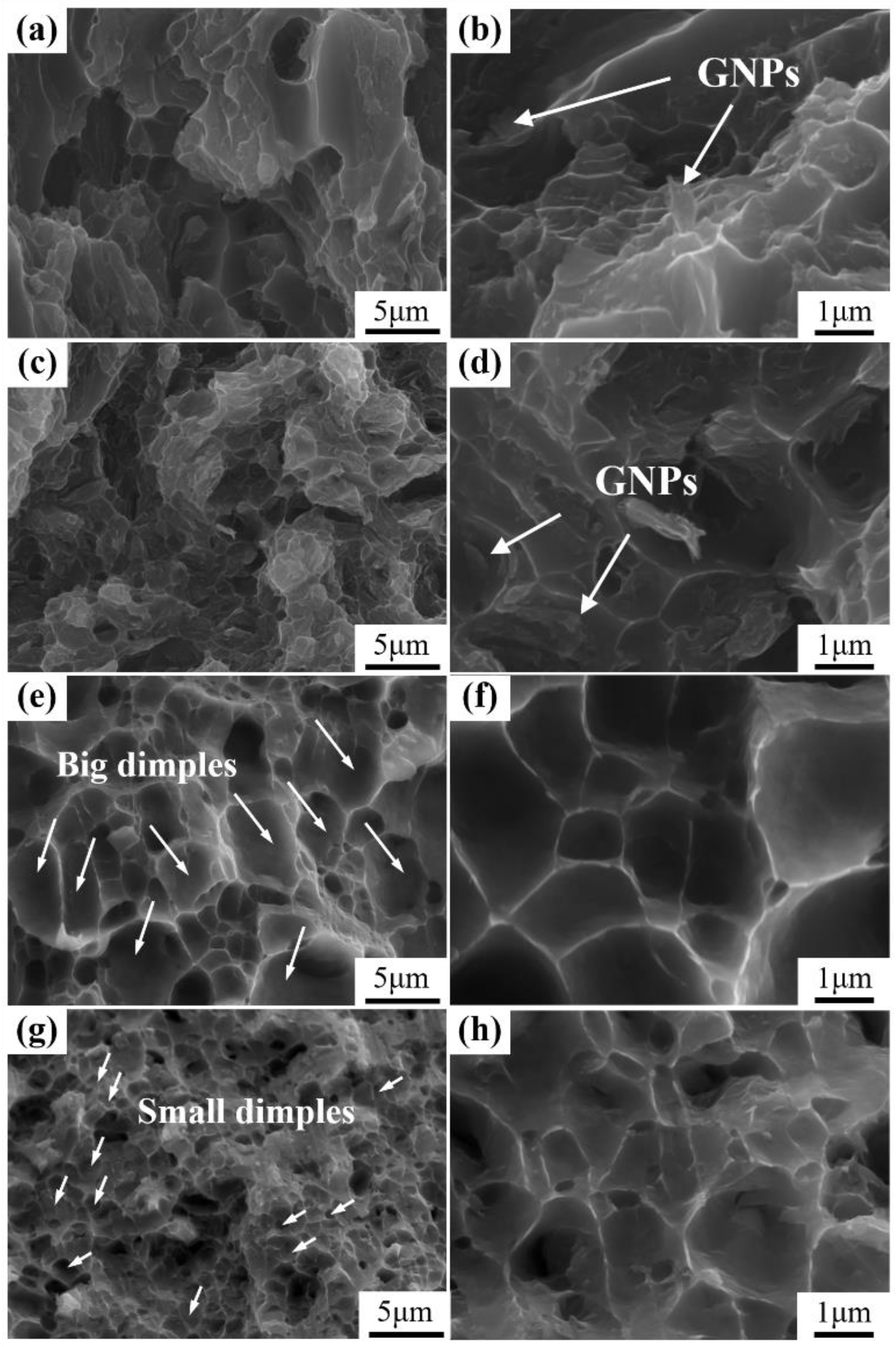 Nanomaterials 12 01833 g015