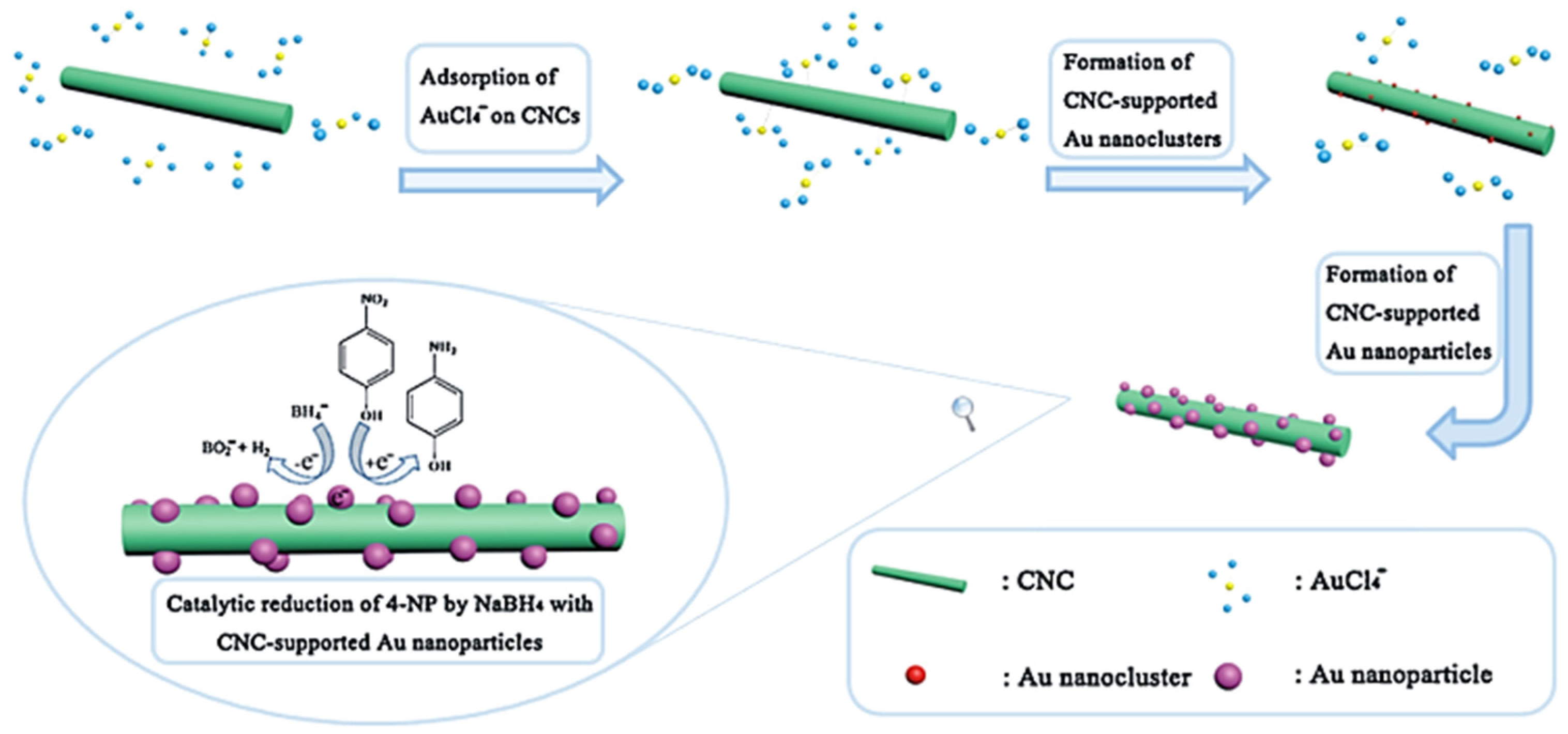 Nanomaterials 12 01837 g003