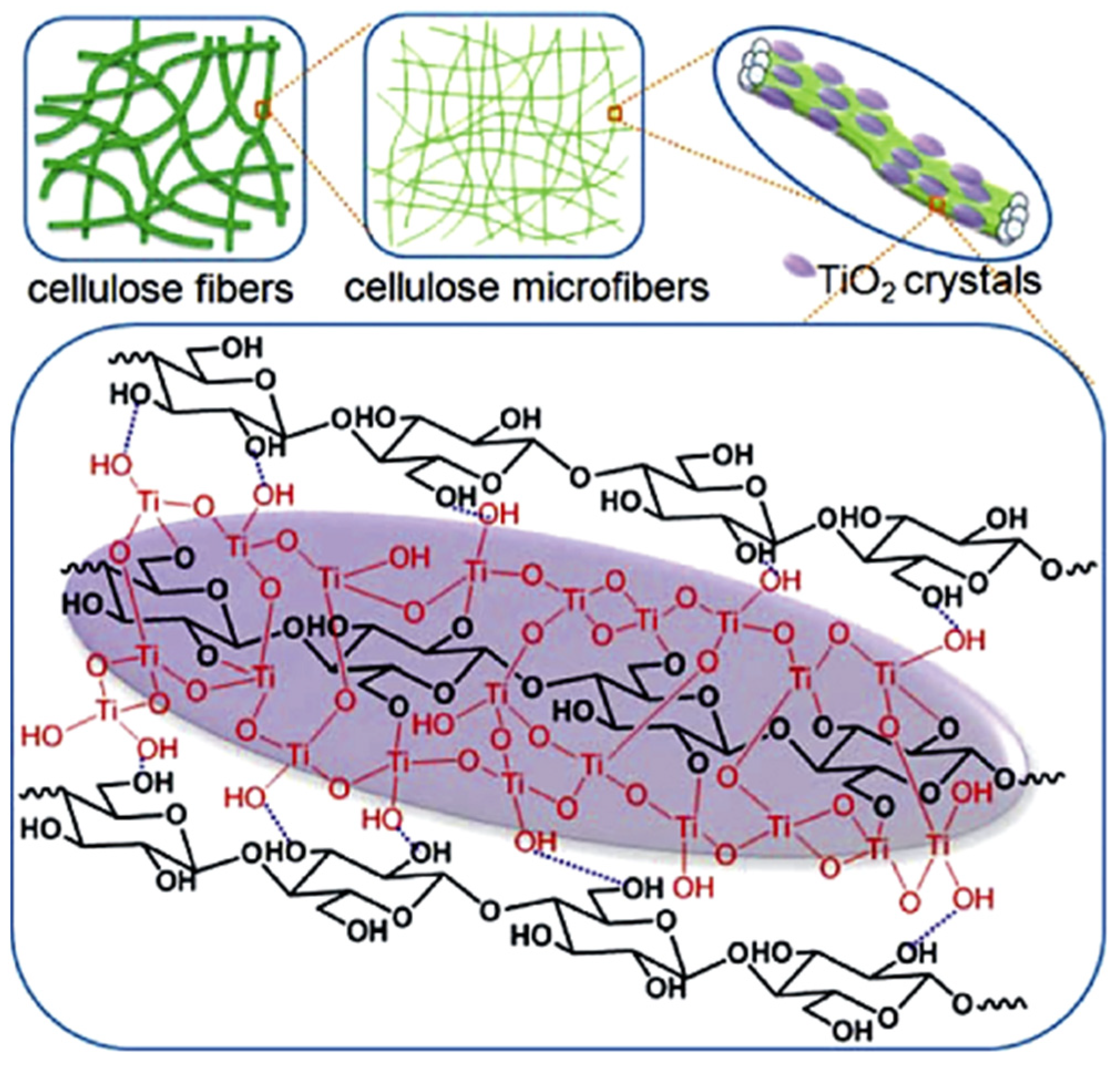 Nanomaterials 12 01837 g004
