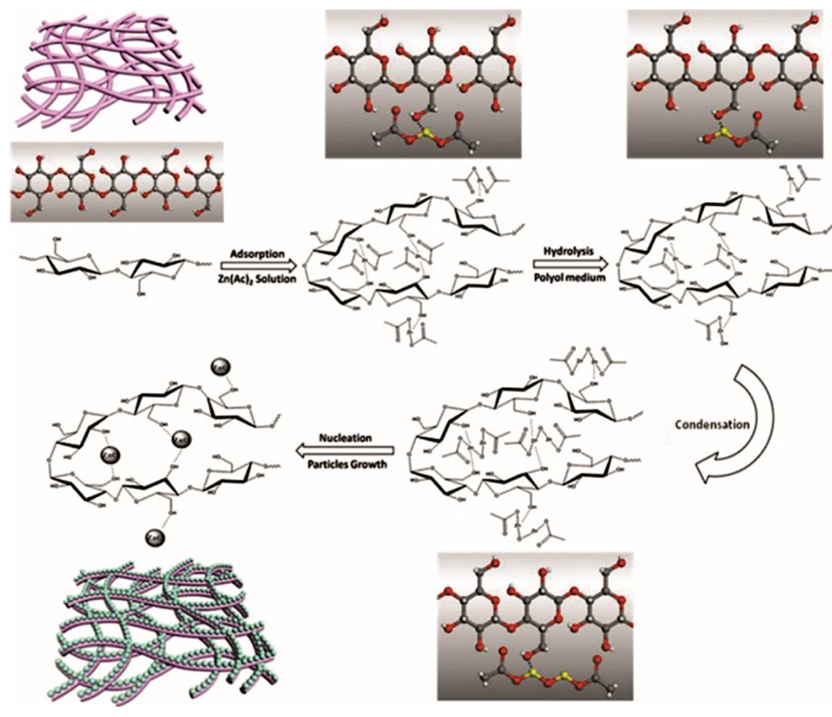 Nanomaterials 12 01837 g007