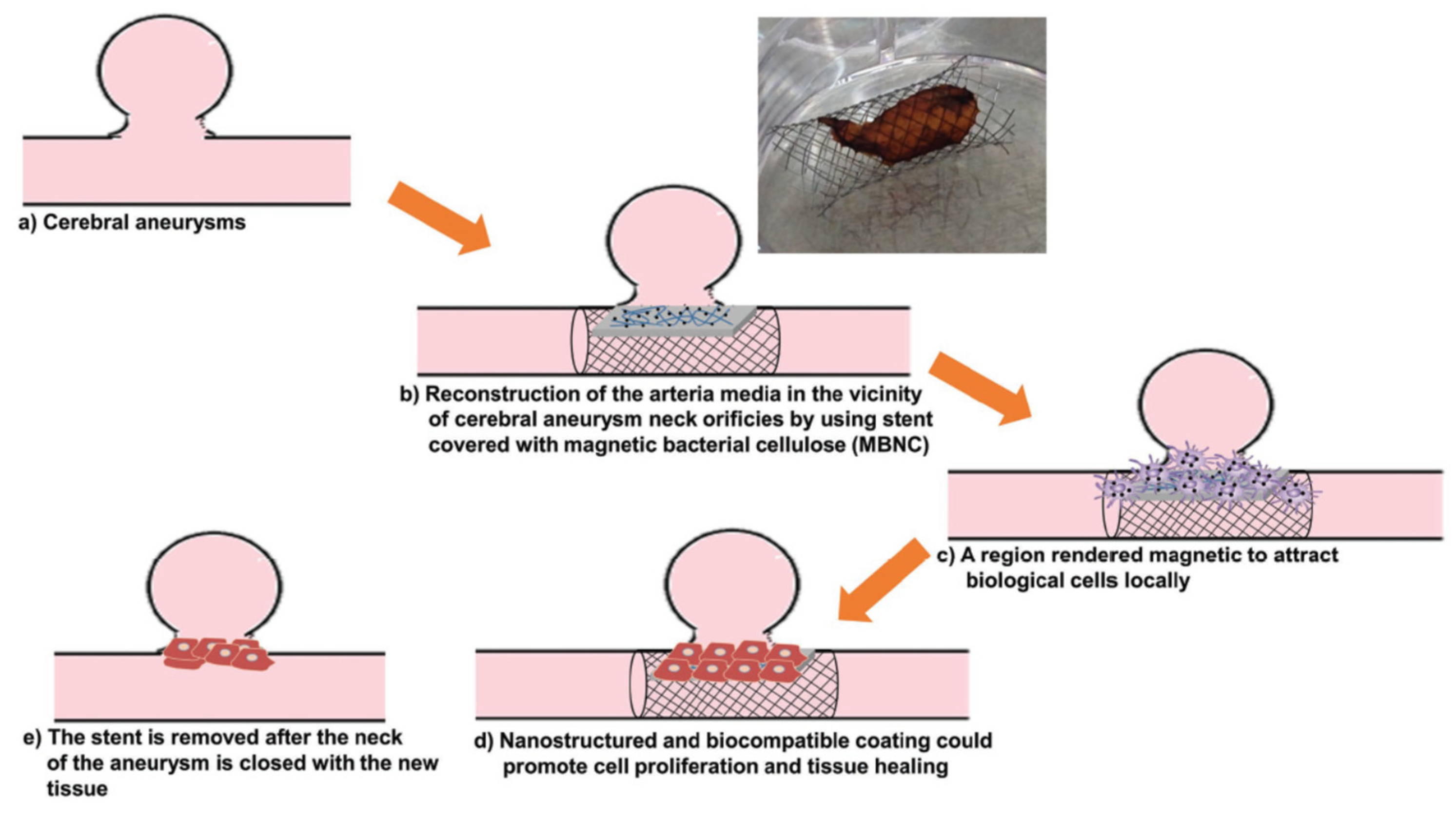 Nanomaterials 12 01837 g008