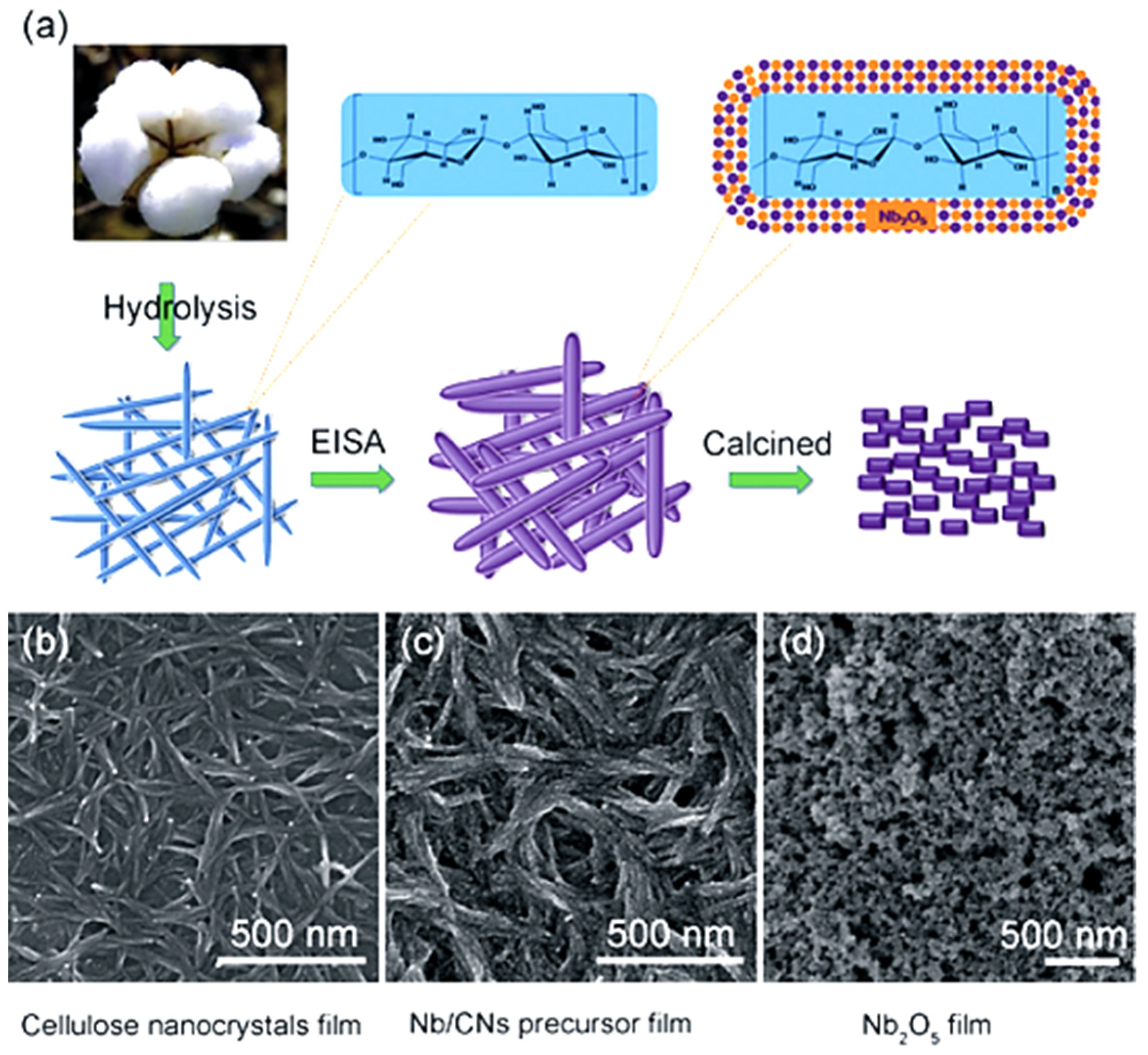 Nanomaterials 12 01837 g012