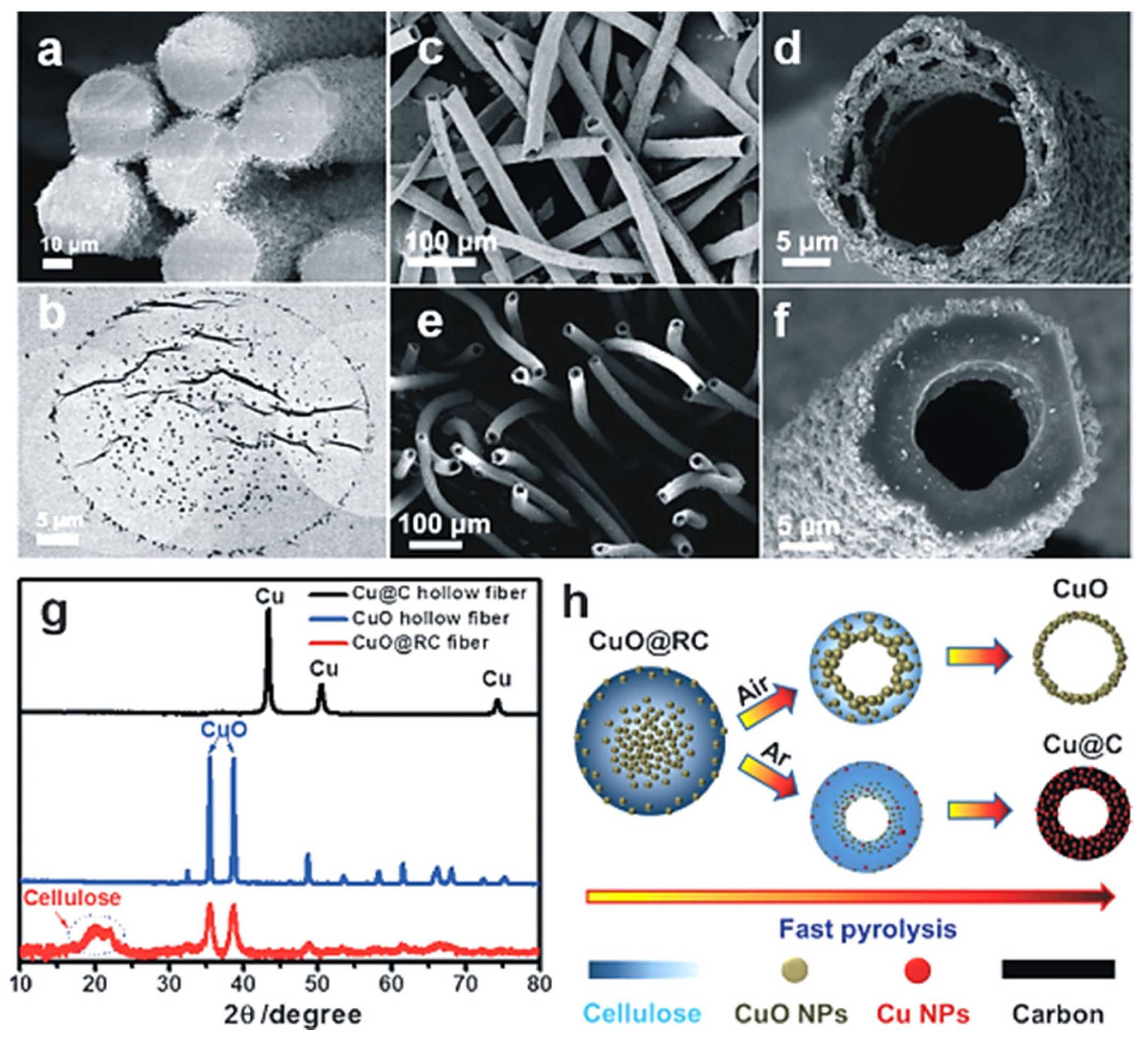 Nanomaterials 12 01837 g013