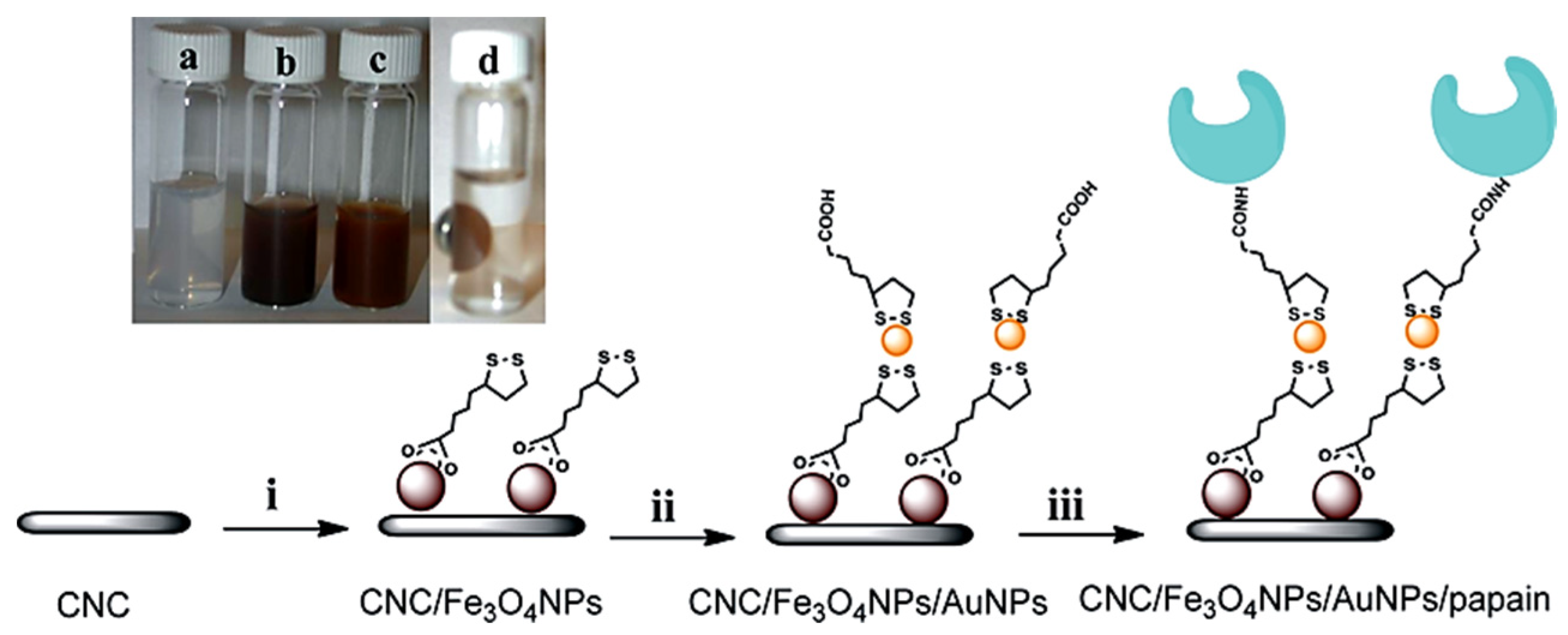 Nanomaterials 12 01837 g020