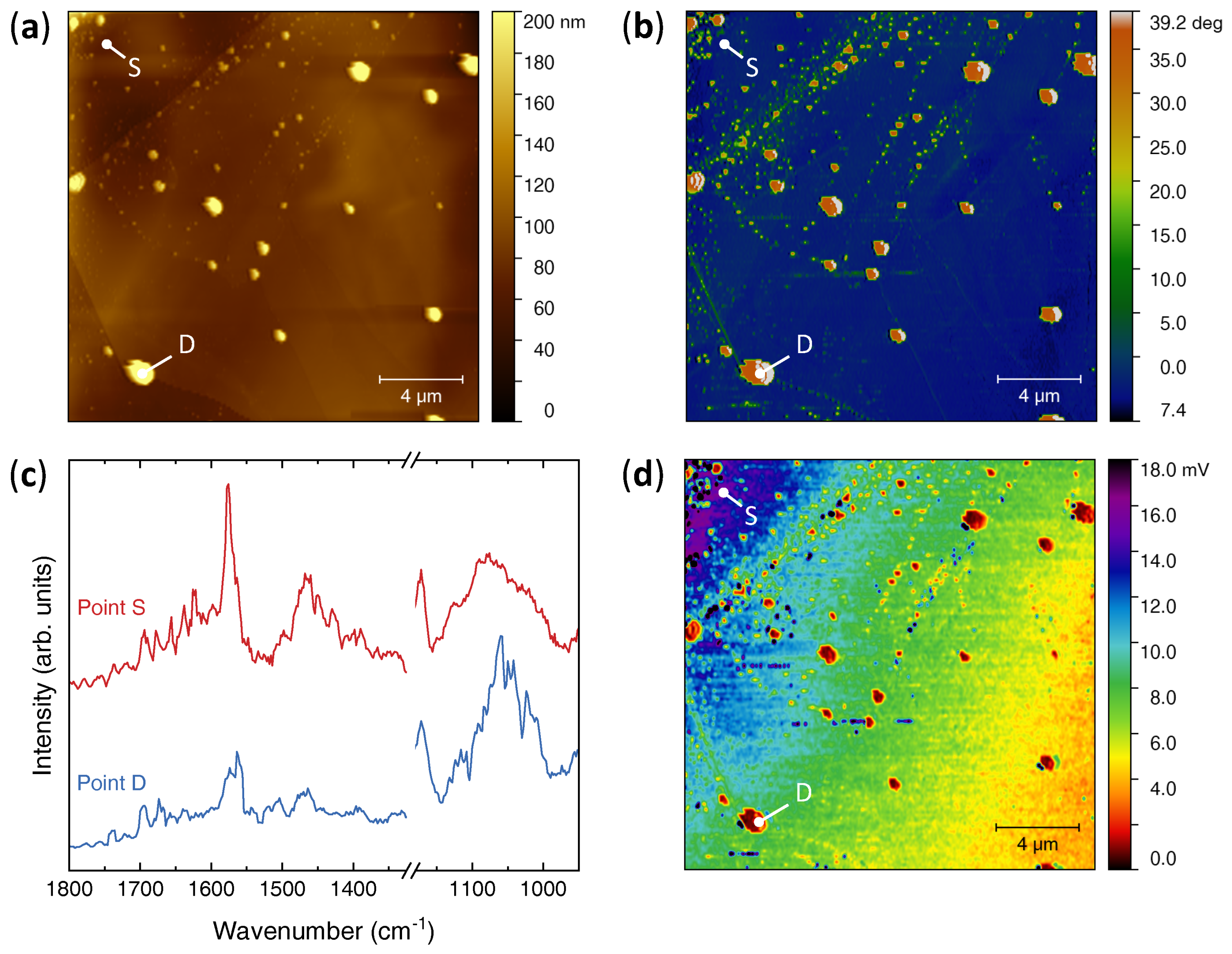 Nanomaterials 12 01842 g003