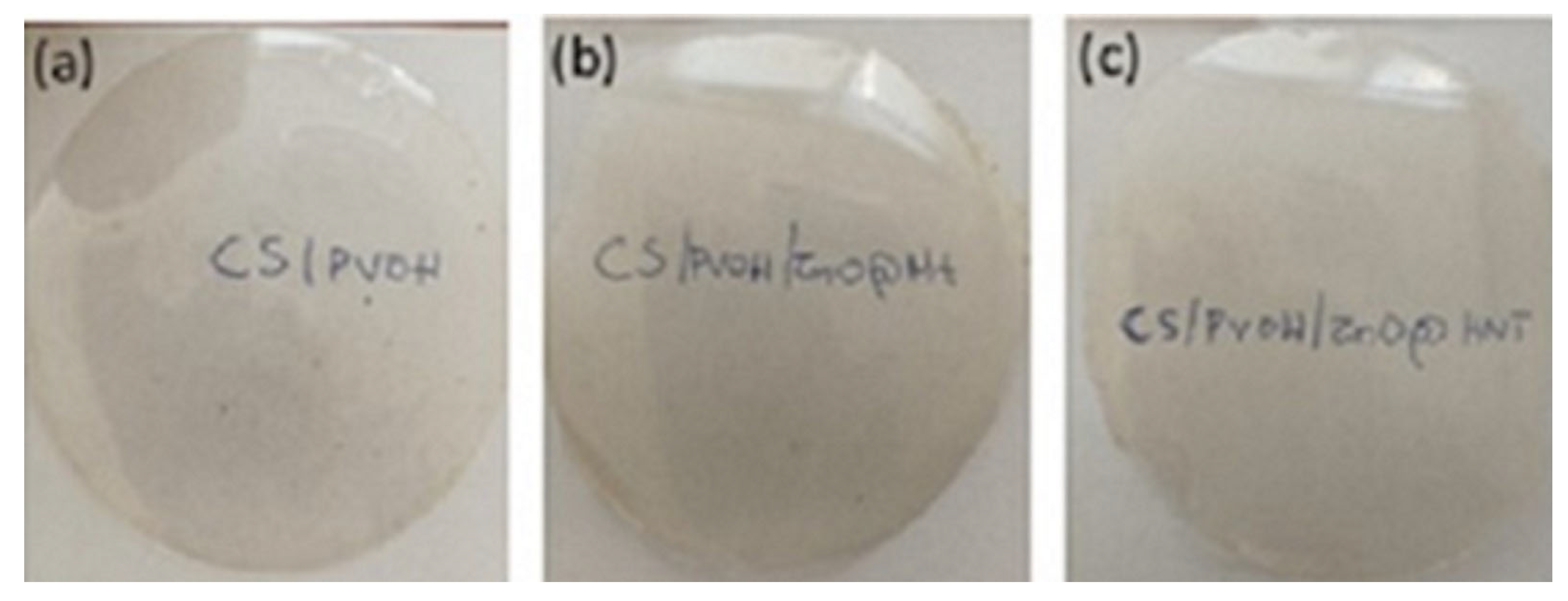 Nanomaterials 12 01843 g001