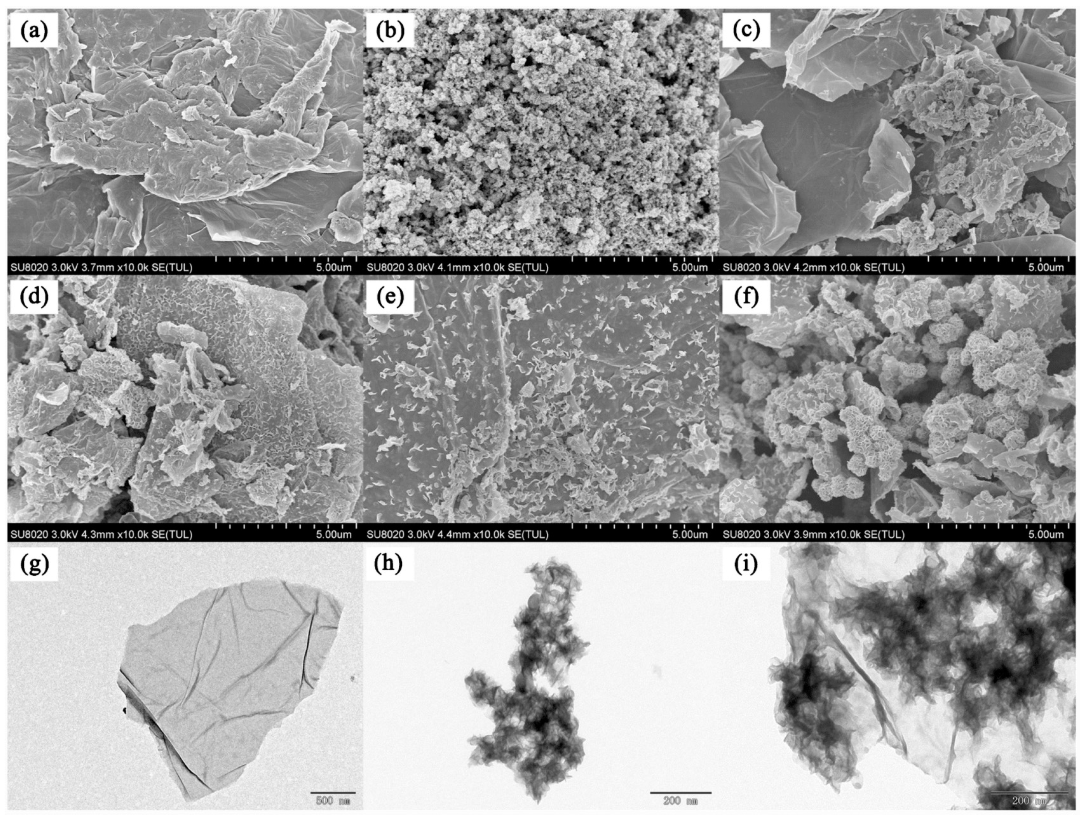 Nanomaterials 12 01845 g002