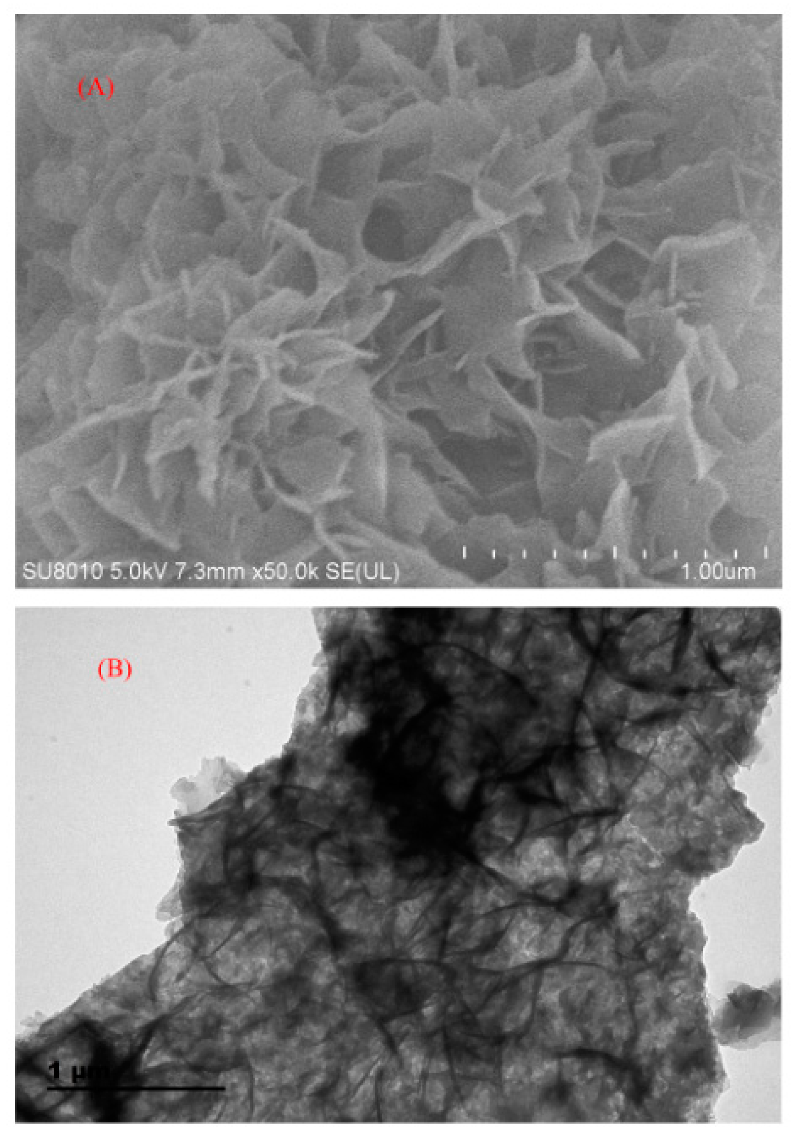 Nanomaterials 12 01845 g007