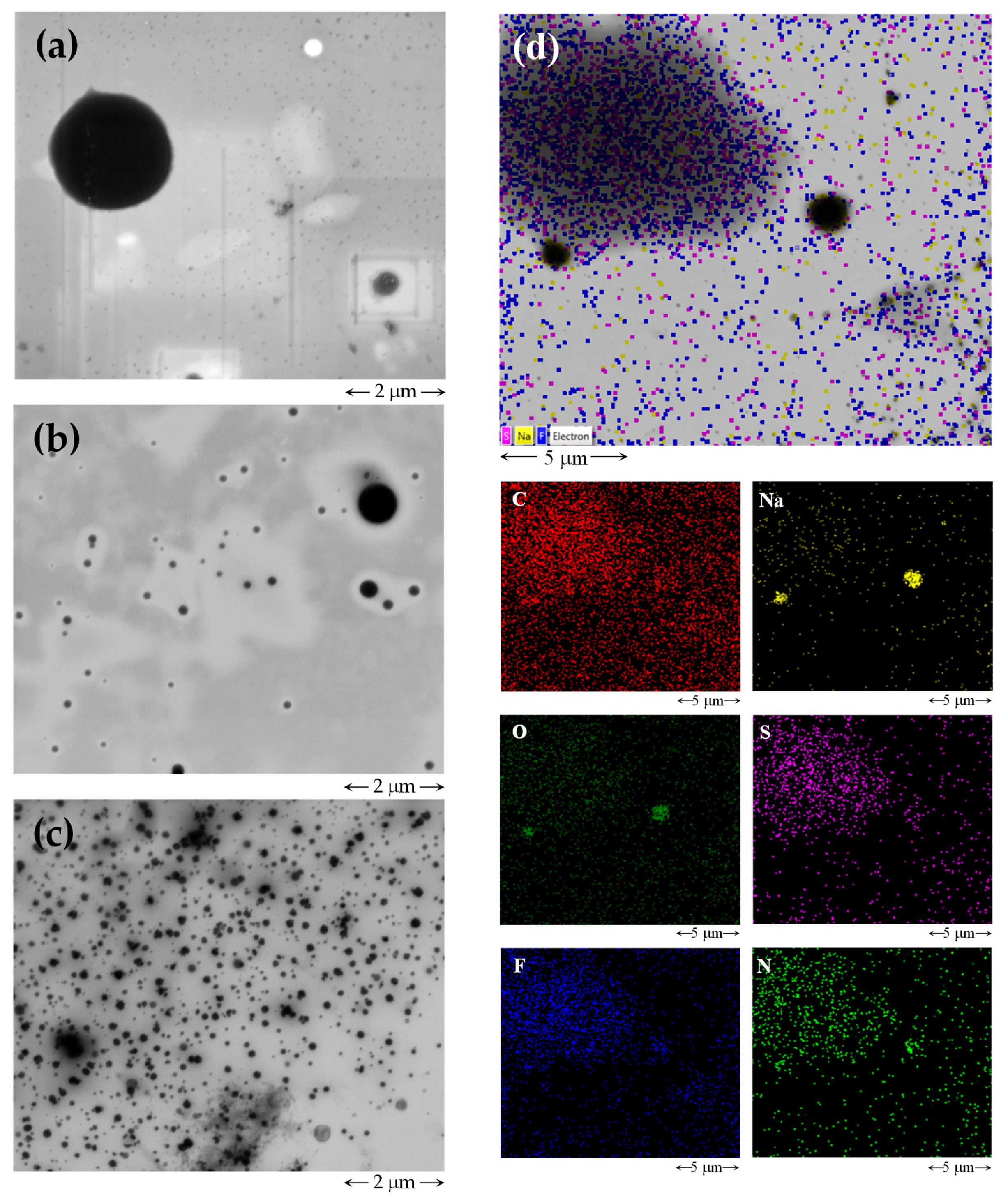 Nanomaterials 12 01851 g003