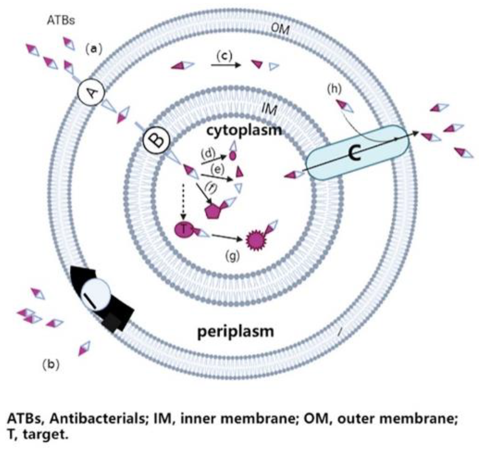 Nanomaterials 12 01855 g001 Nanomaterials 12 01855 g001
