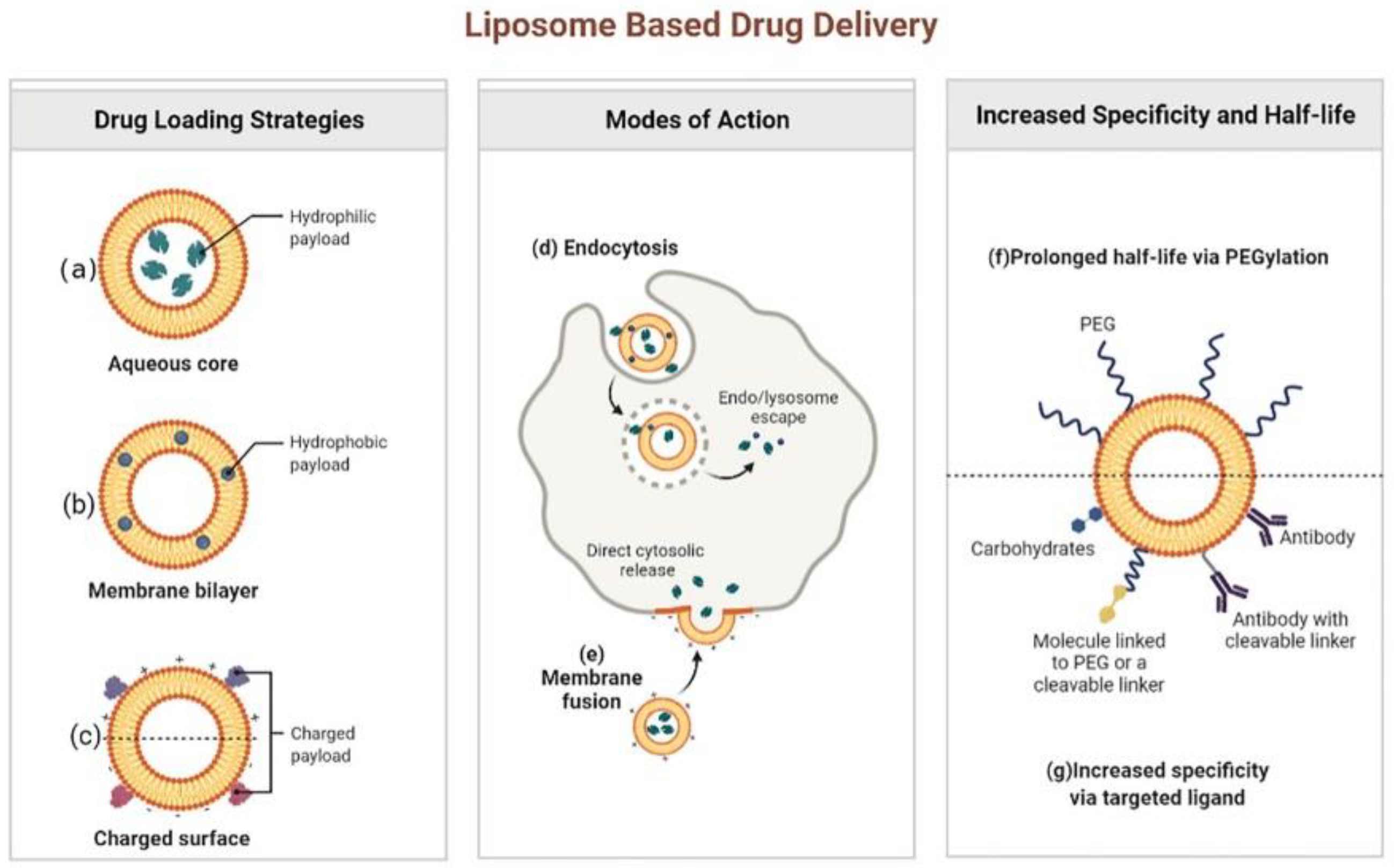 Nanomaterials 12 01855 g002 Nanomaterials 12 01855 g002