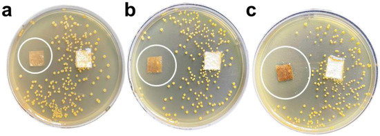 Nanomaterials 12 01857 g006 550