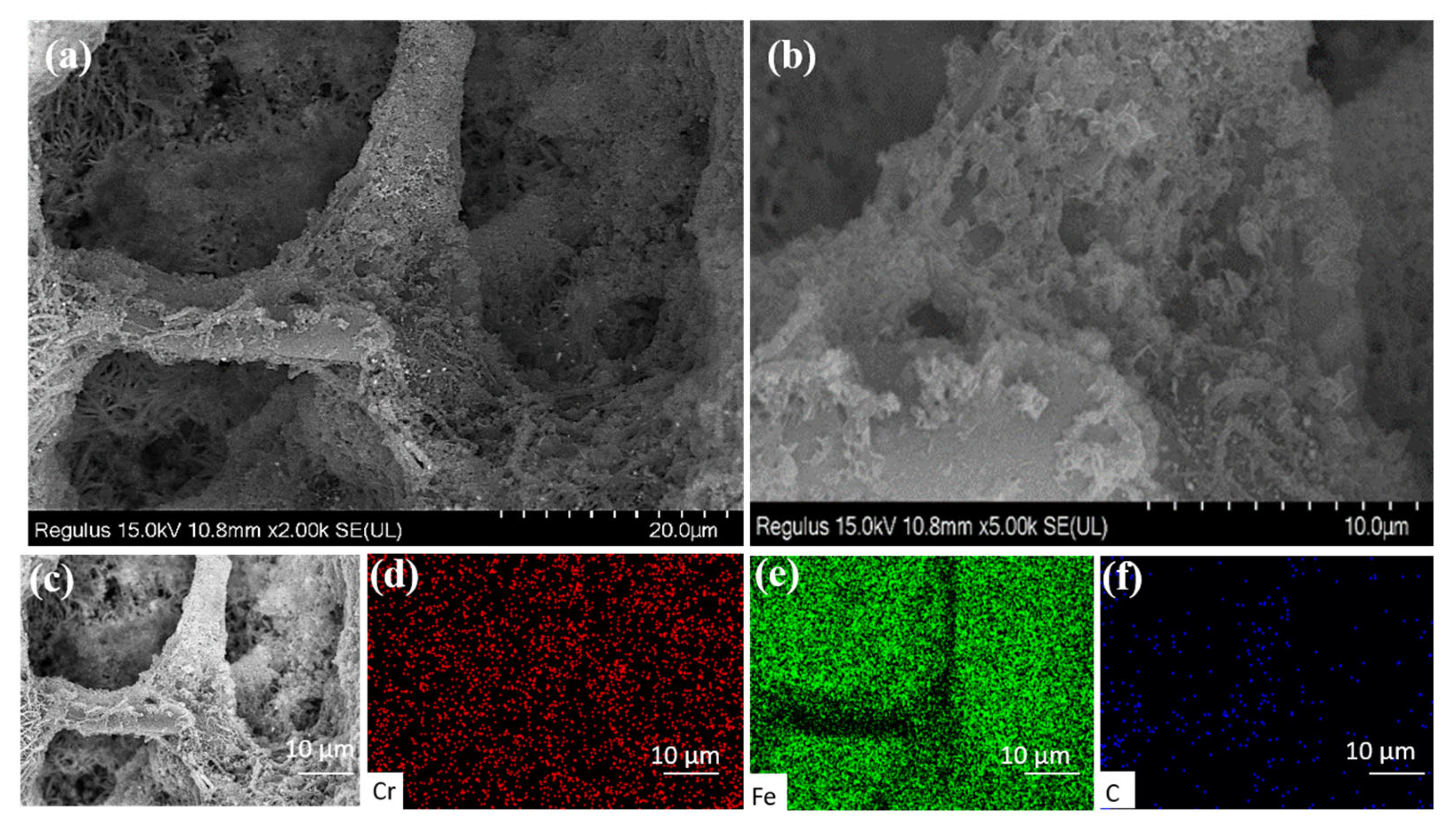 Nanomaterials 12 01866 g007
